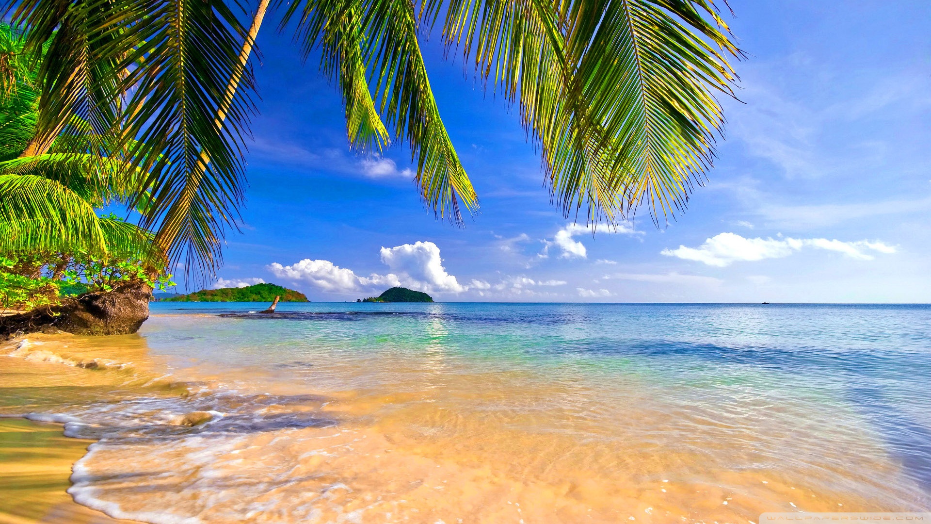 High Definition Tropical Wallpapers