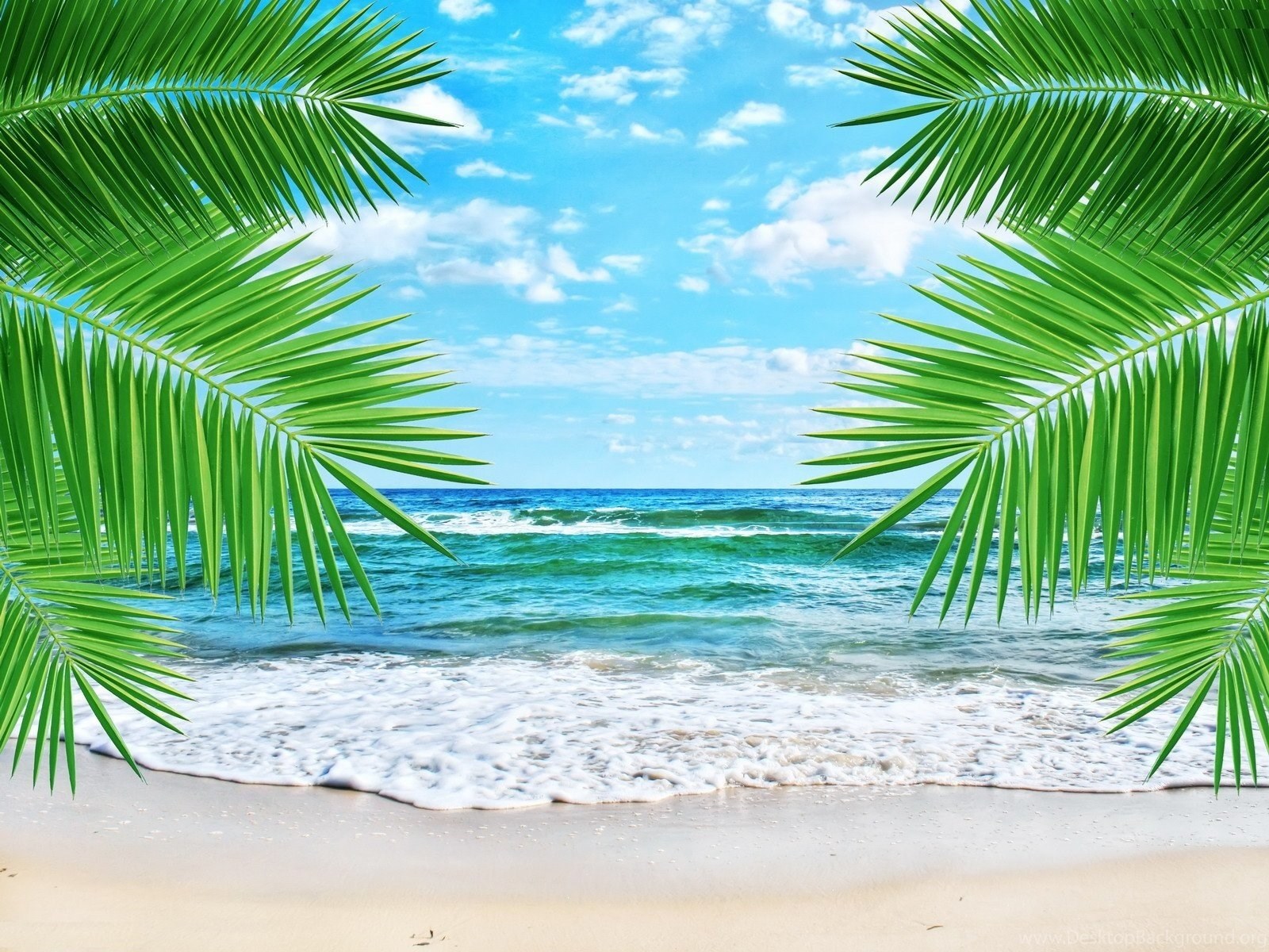 High Definition Tropical Wallpapers