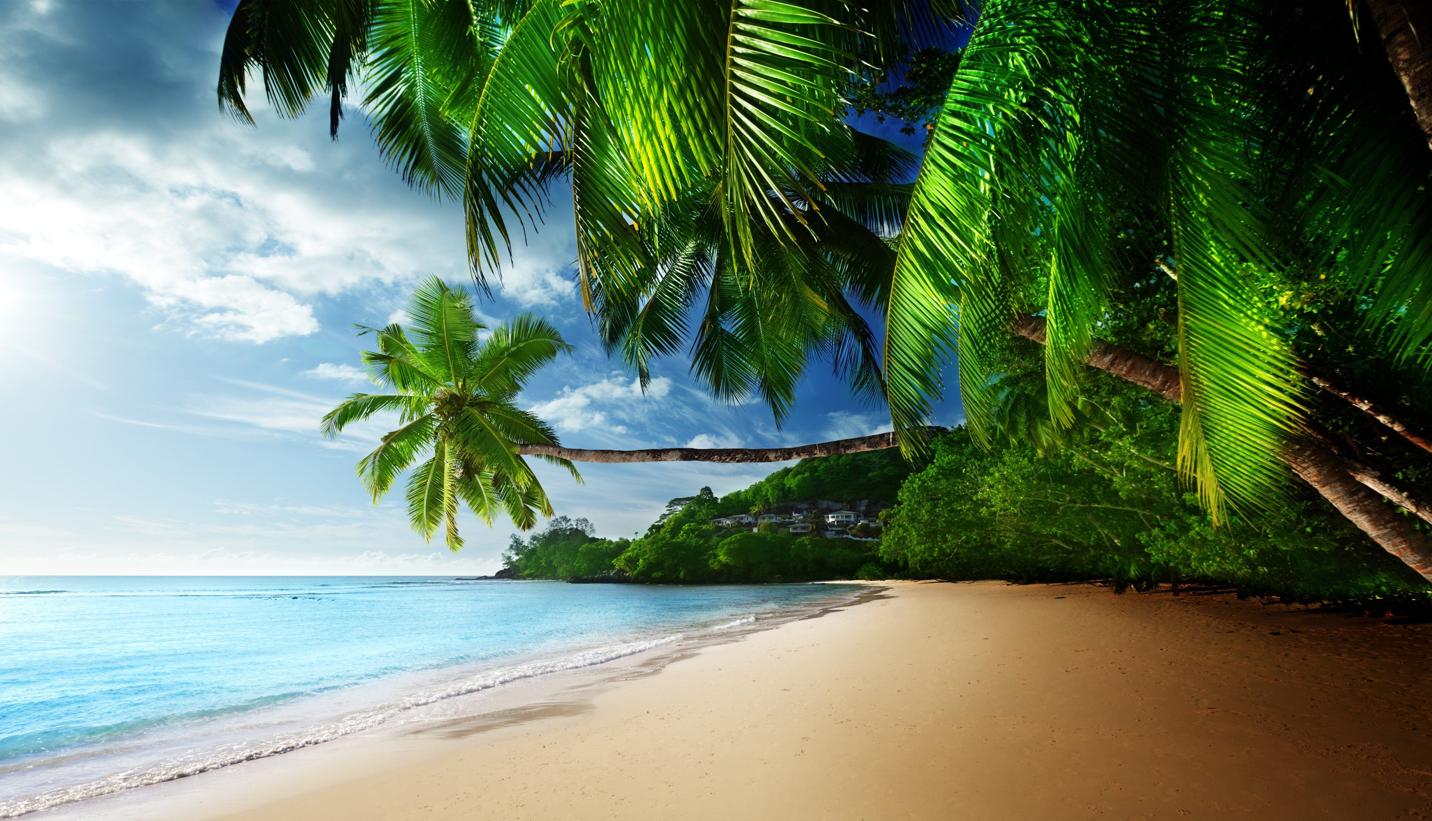 High Definition Tropical Wallpapers