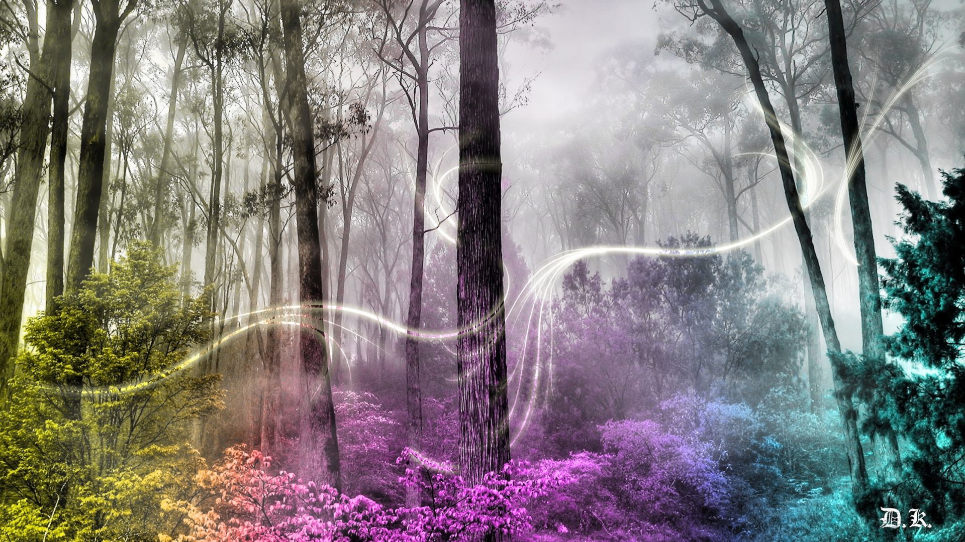 High Resolution Enchanted Forest Background