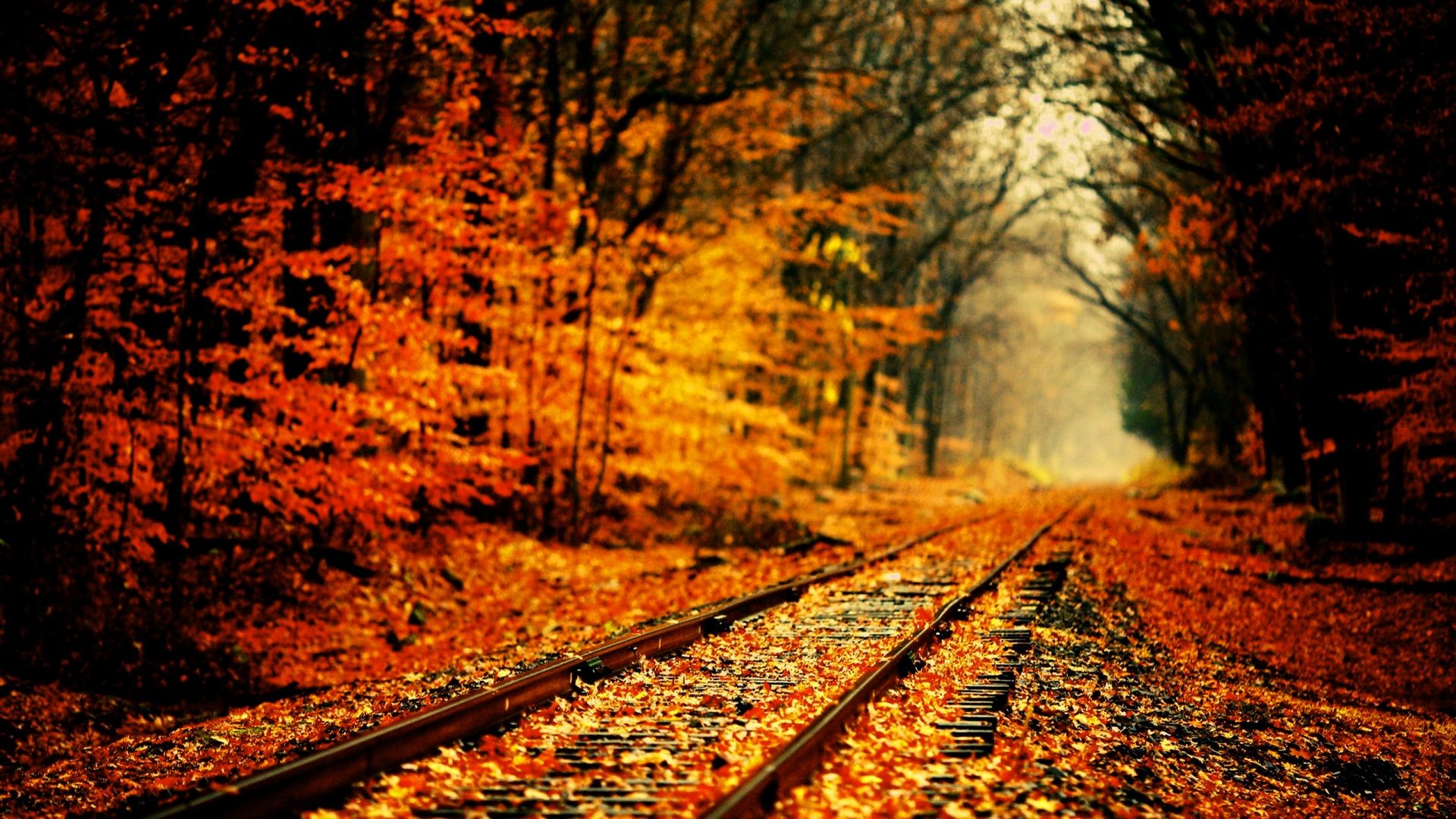 High Resolution Fall Background