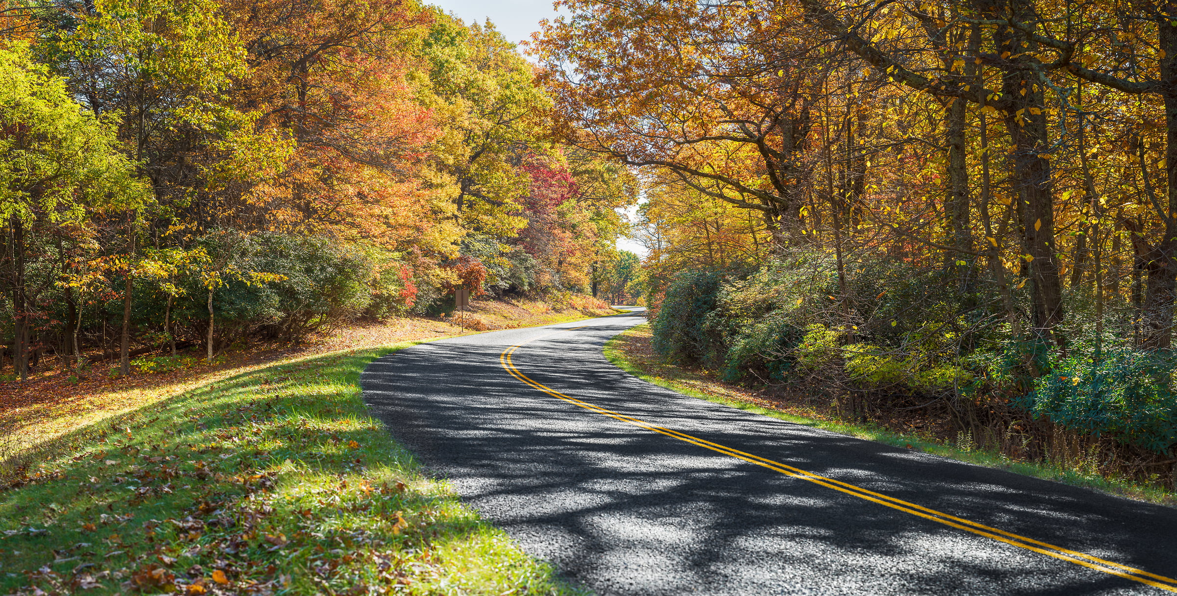 High Resolution Fall Background