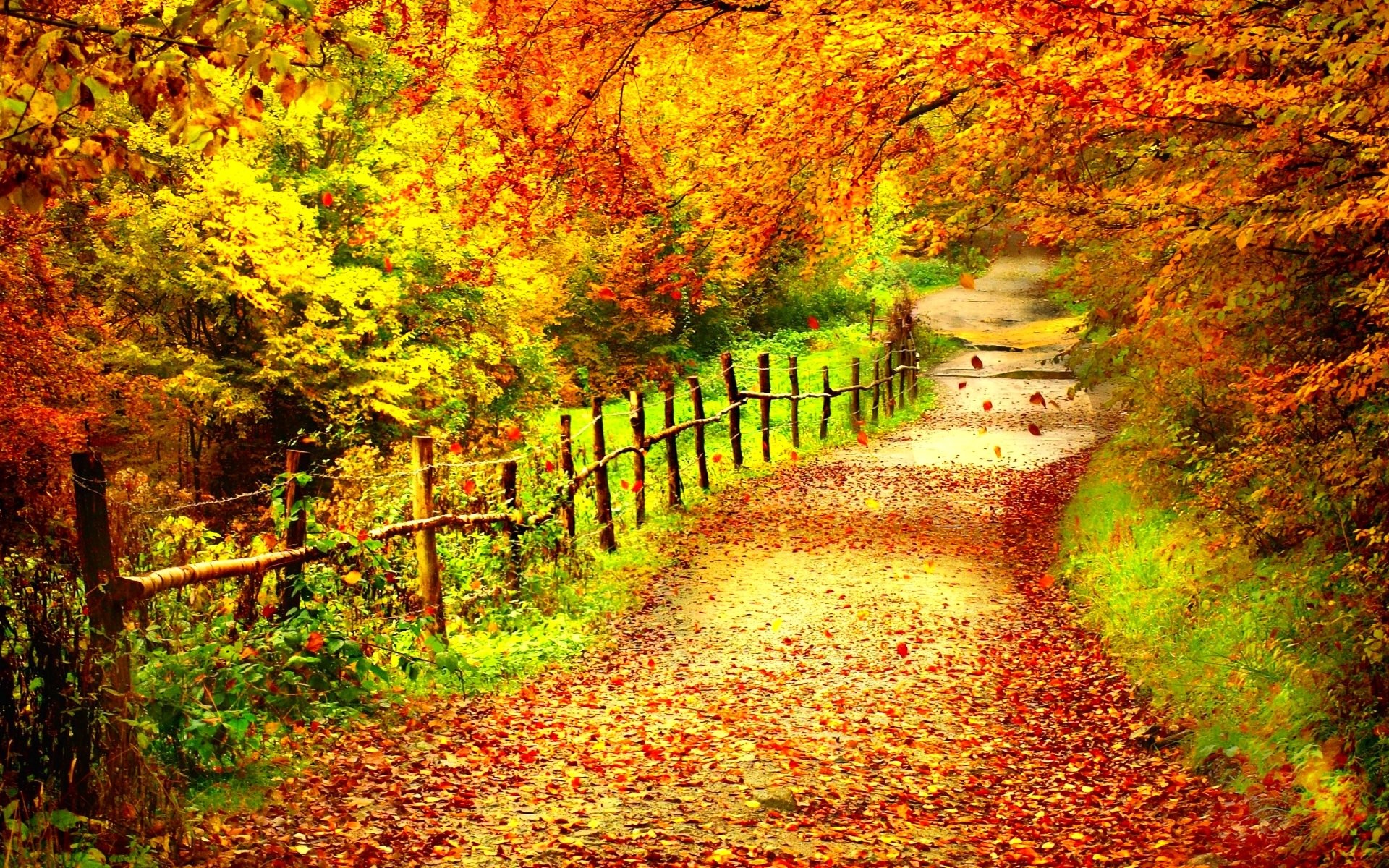 High Resolution Fall Background