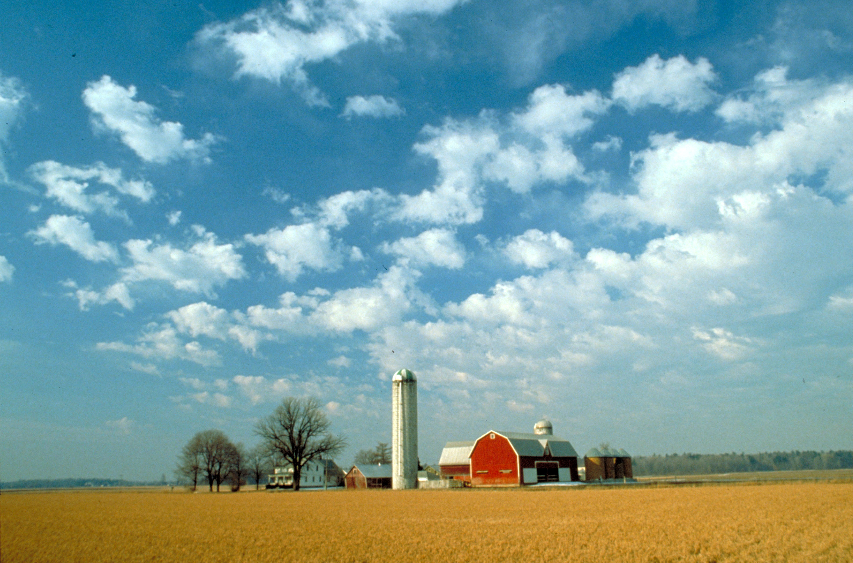 High Resolution Farm Background