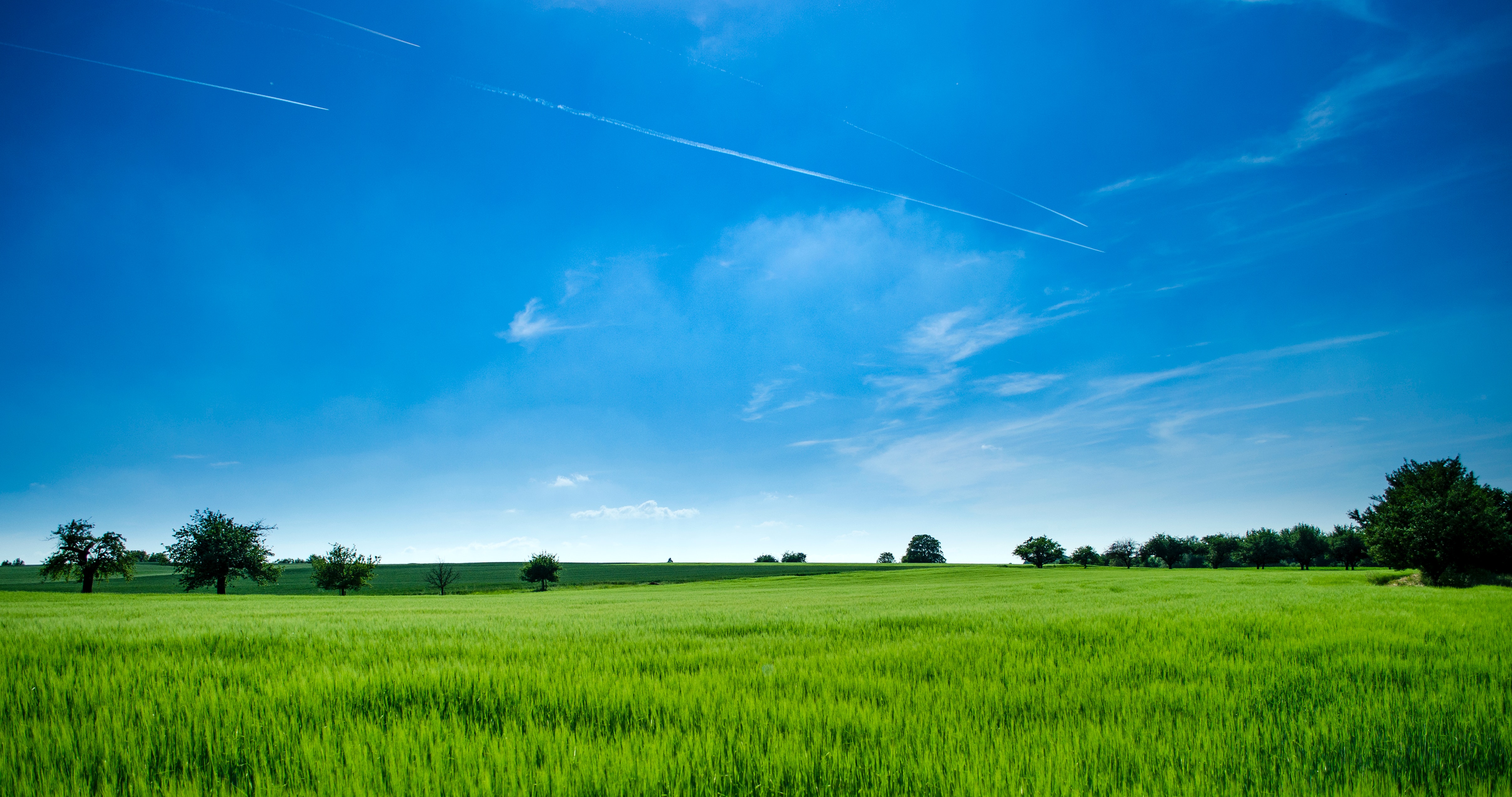 High Resolution Farm Background