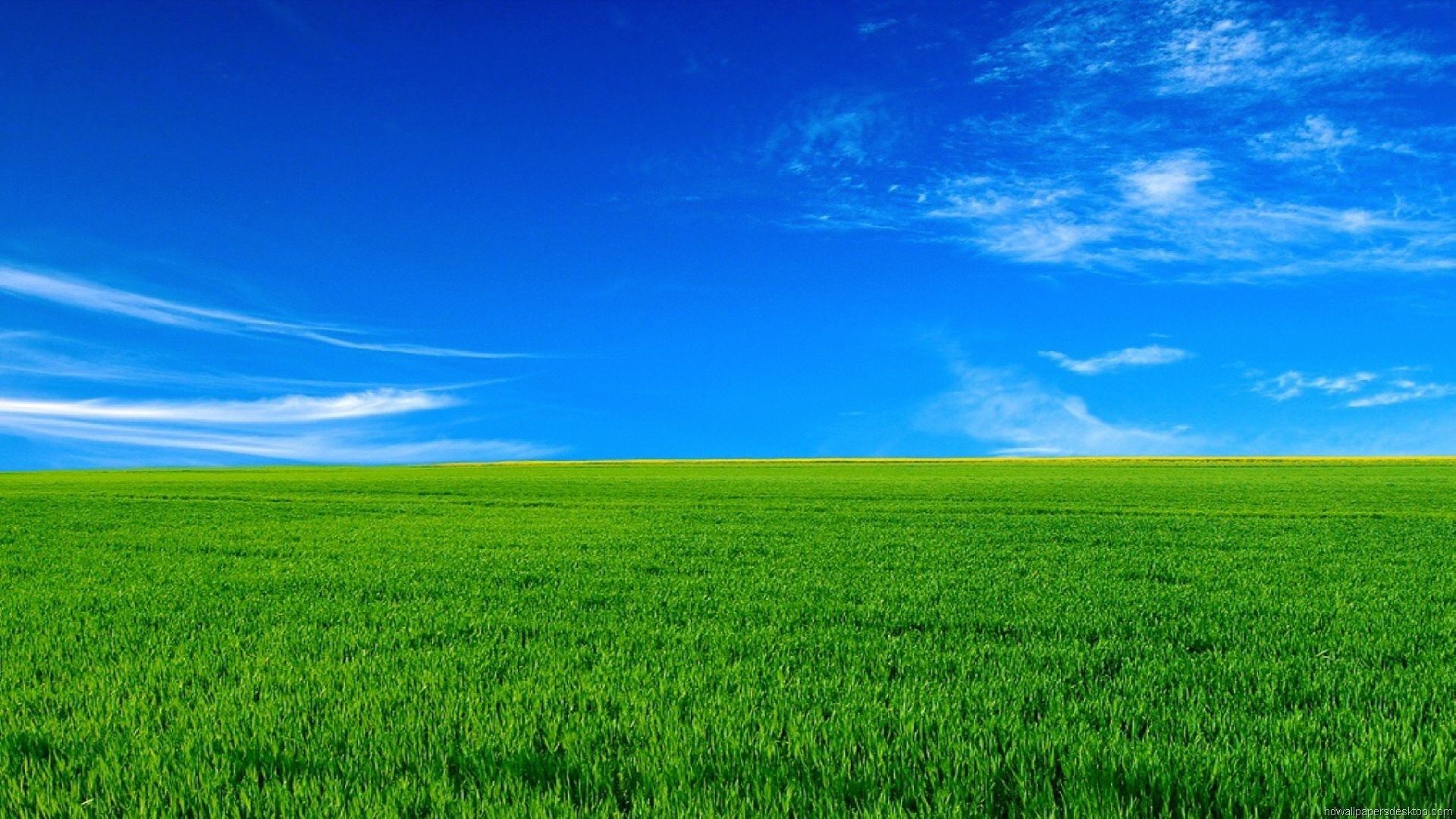 High Resolution Grass Field Wallpapers