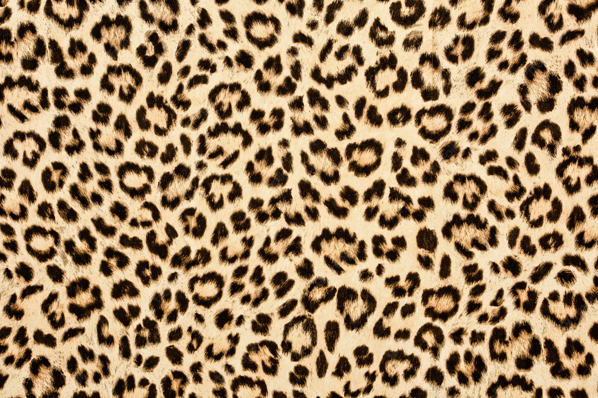 High Resolution Leopard Print Background