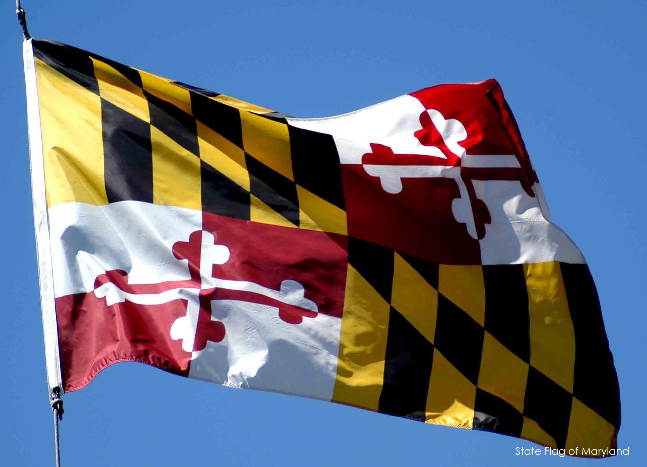 High Resolution Maryland Flag Wallpapers