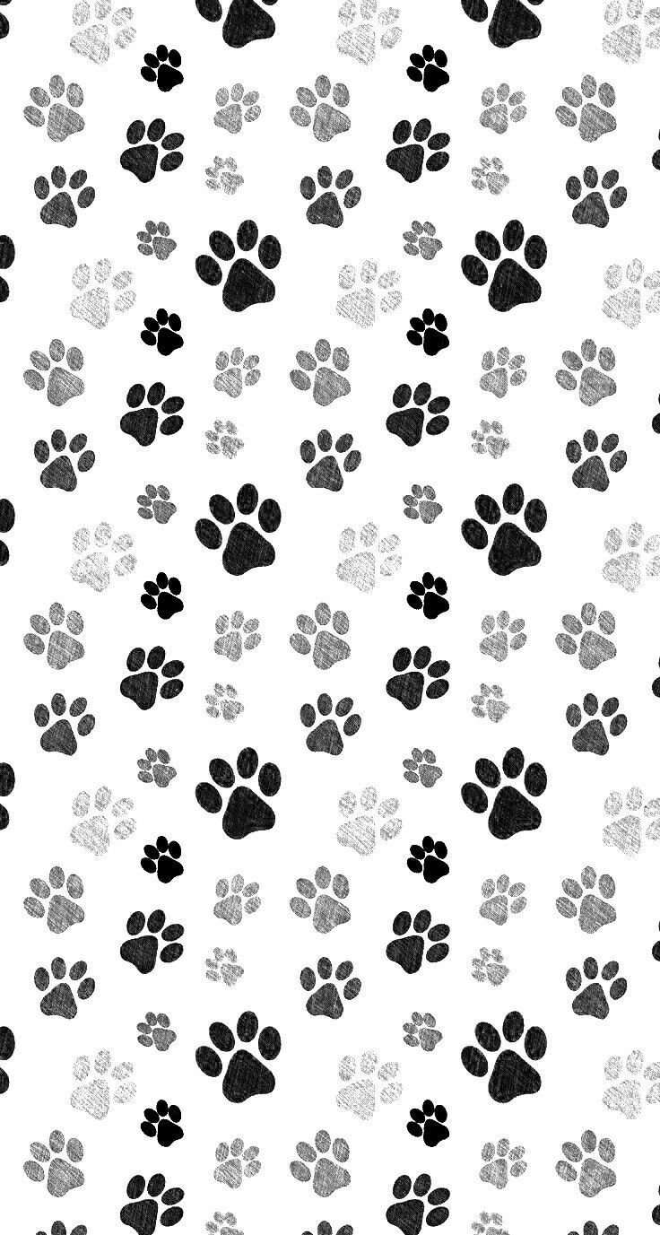 High Resolution Paw Print Background