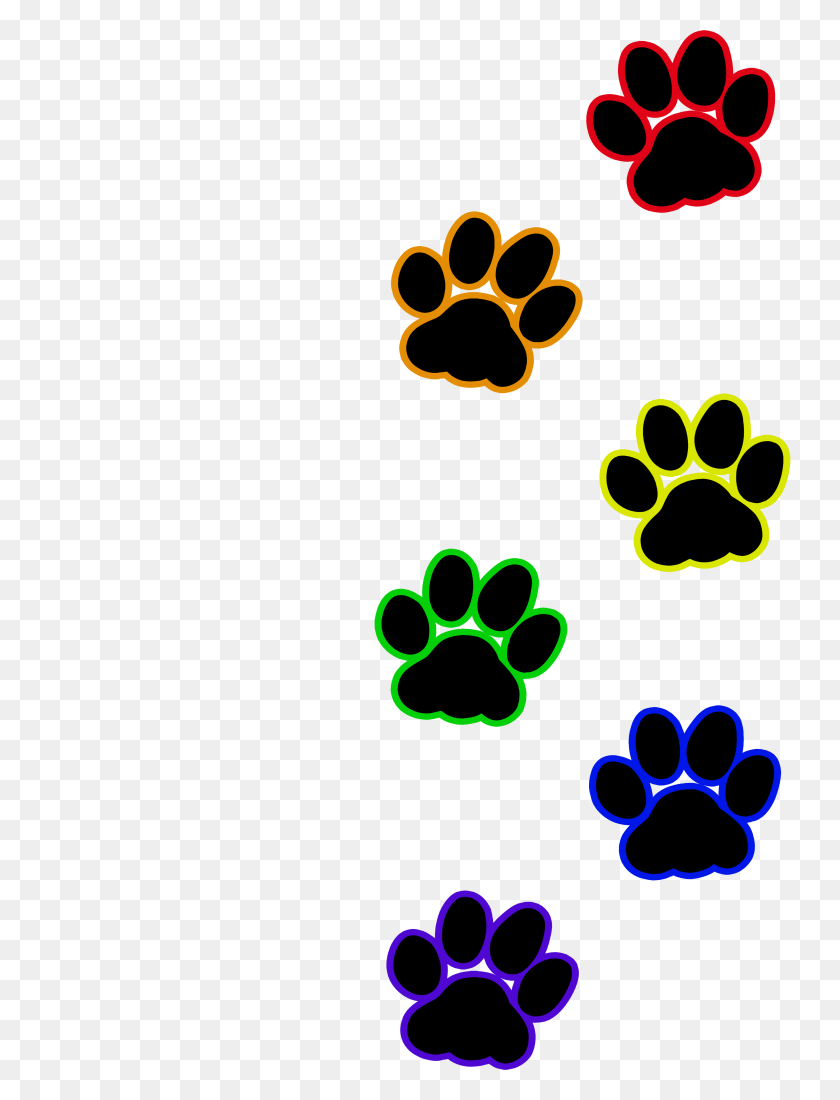 High Resolution Paw Print Background