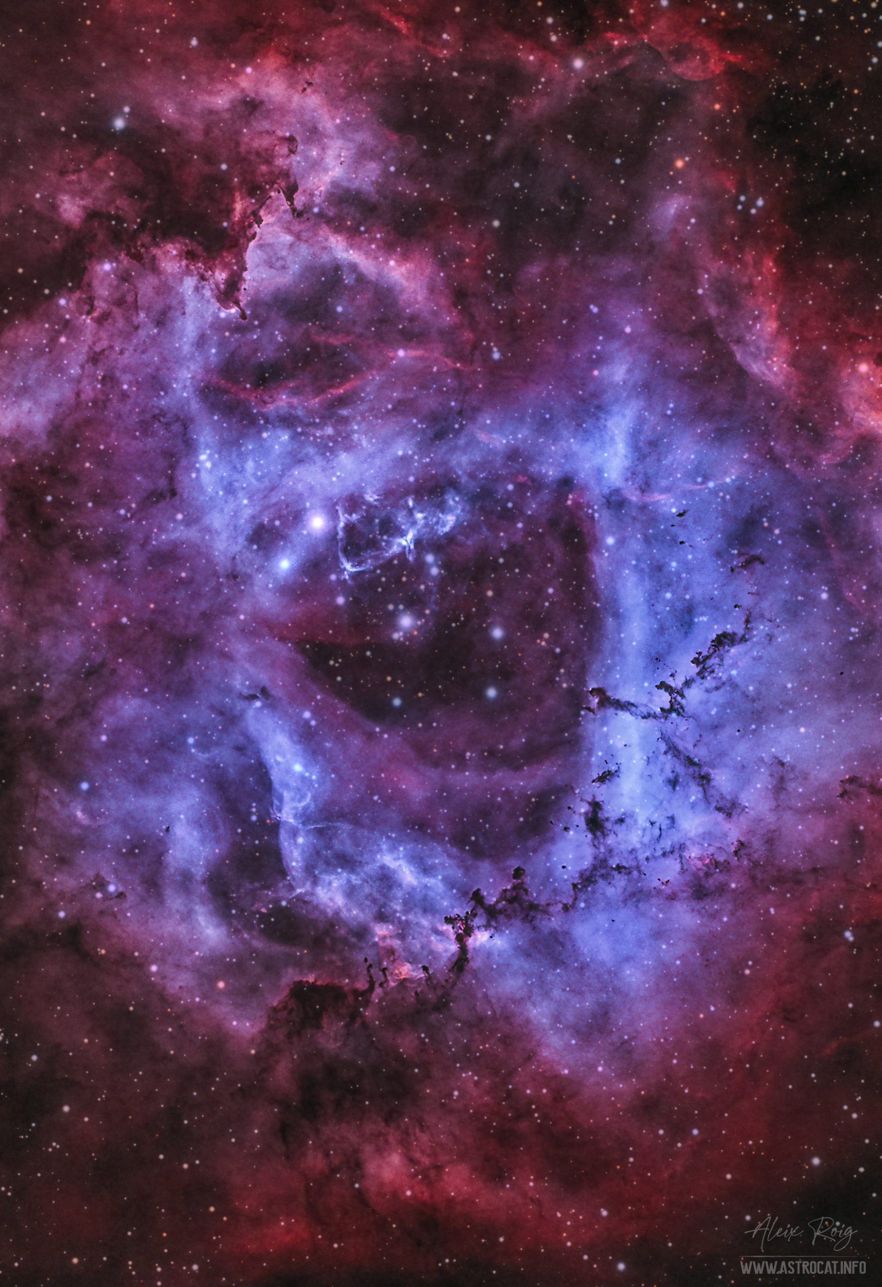 High Resolution Rosette Nebula Wallpapers