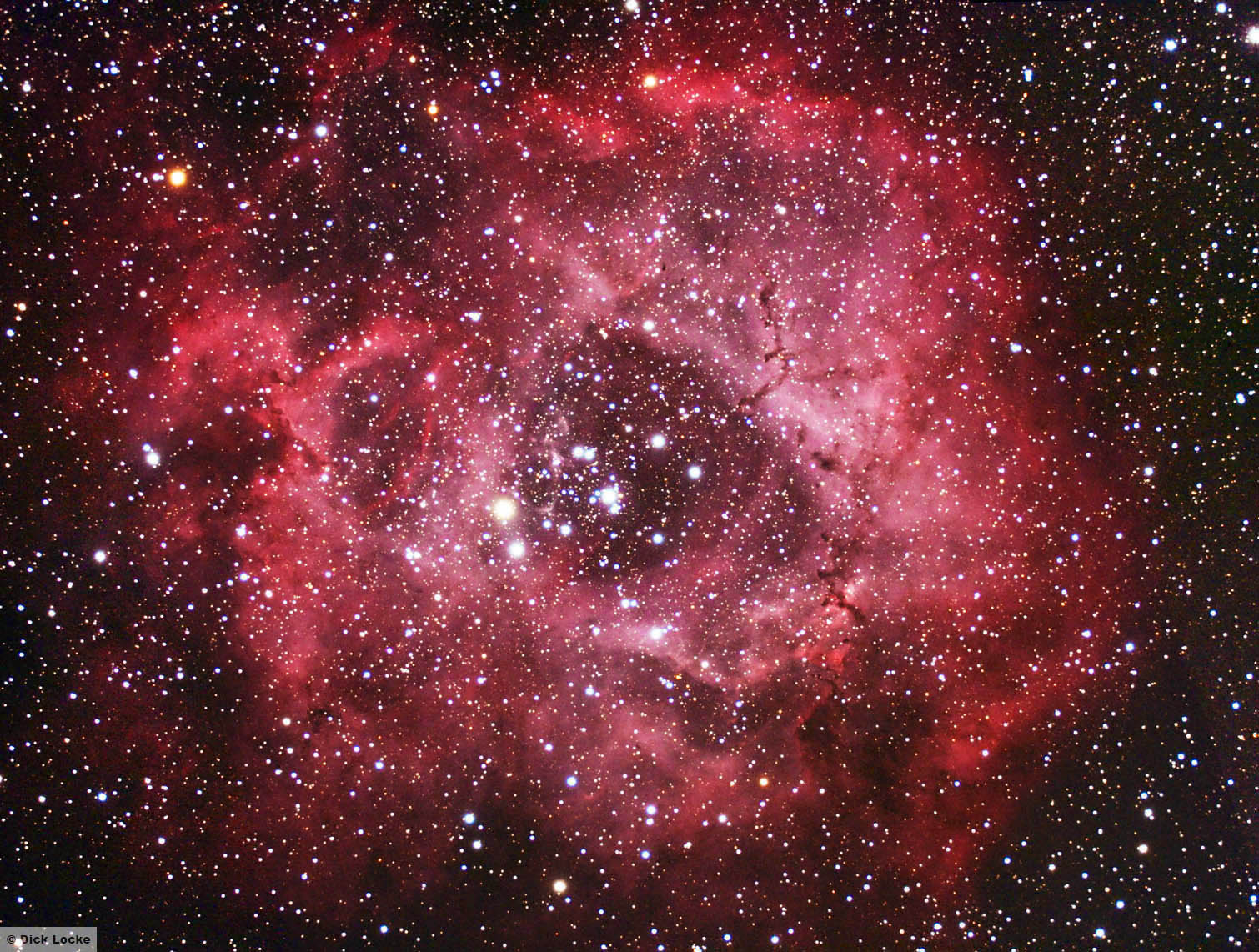 High Resolution Rosette Nebula Wallpapers