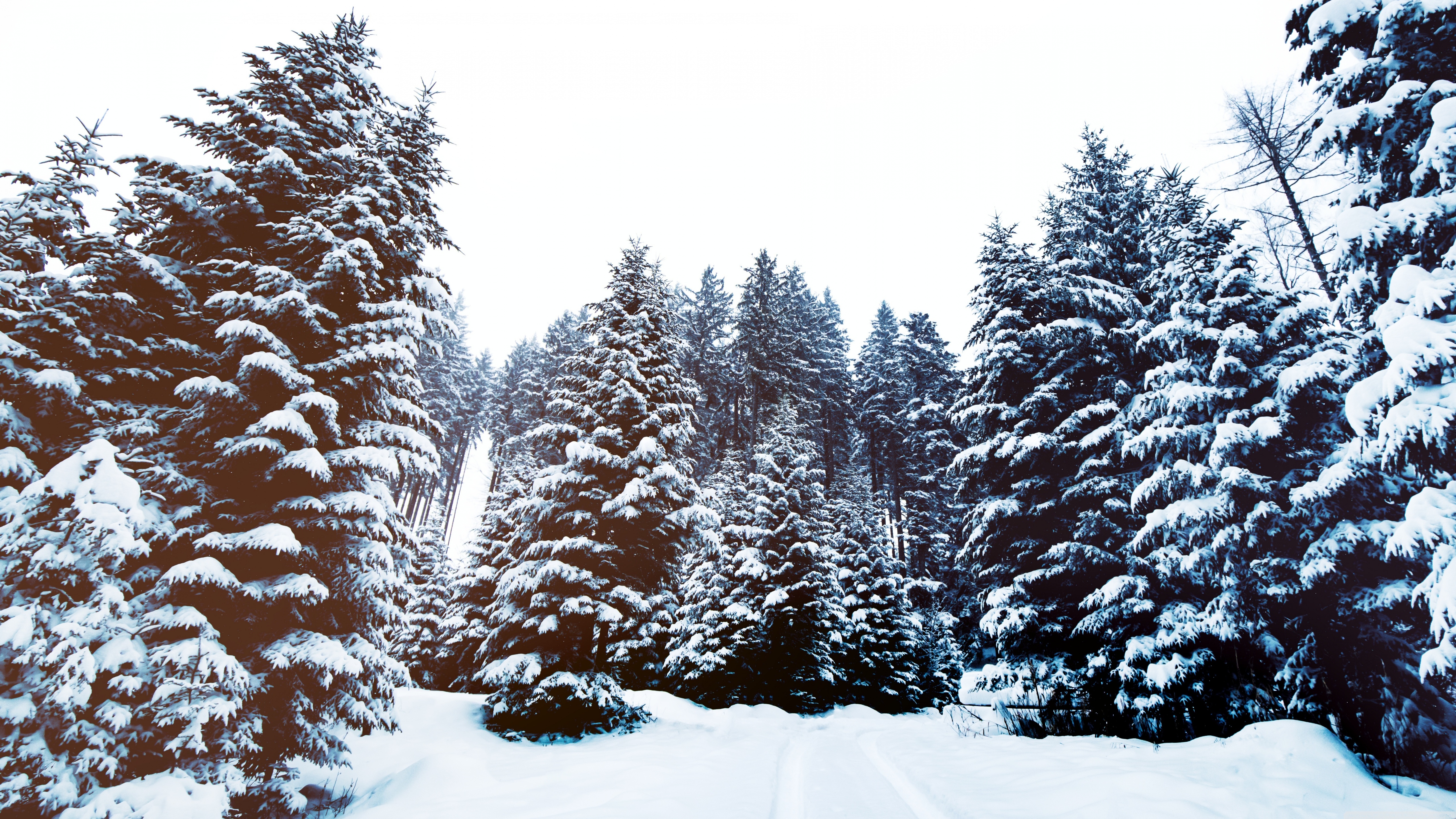 High Resolution Winter Landscape Wallpapers