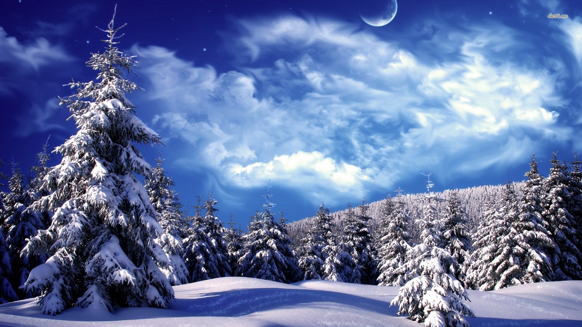 High Resolution Winter Wonderland Background