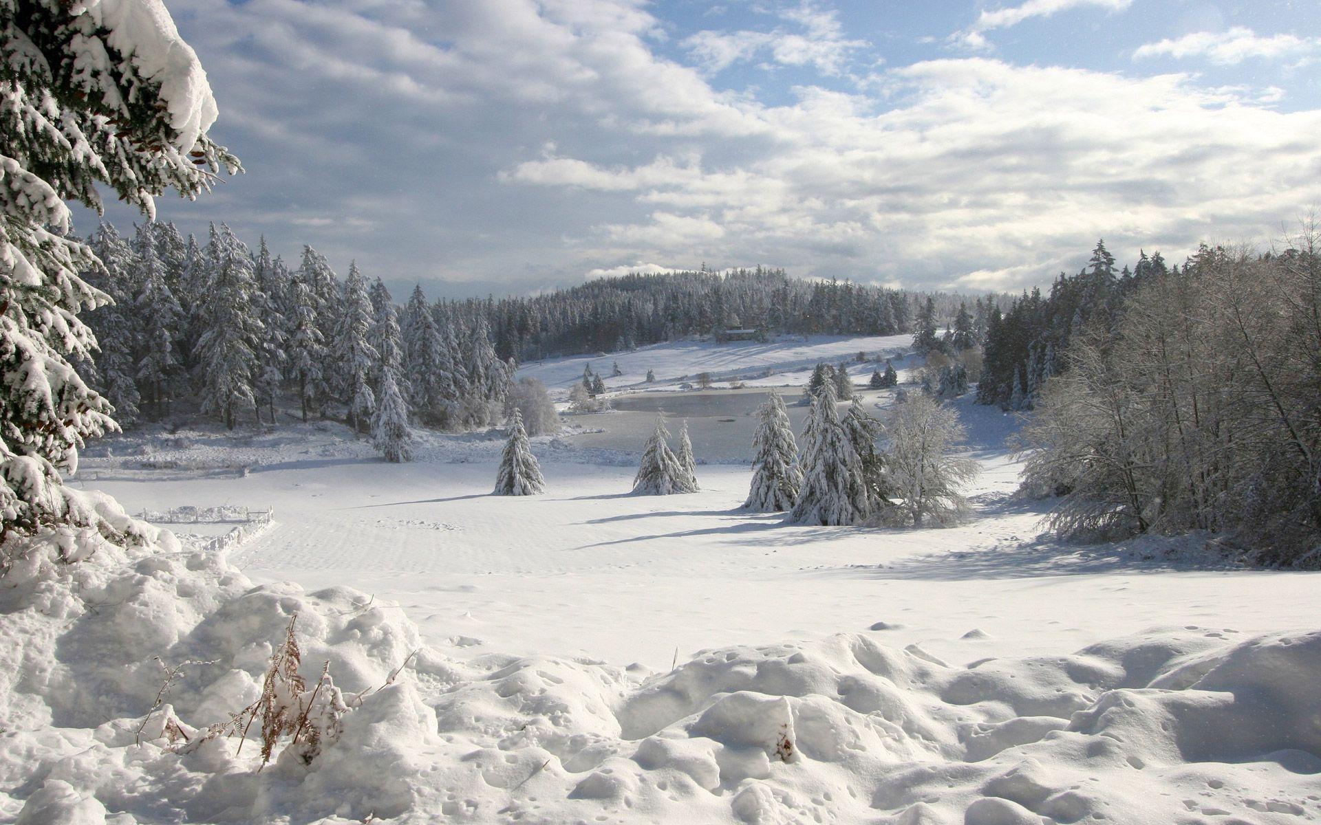 High Resolution Winter Wonderland Background