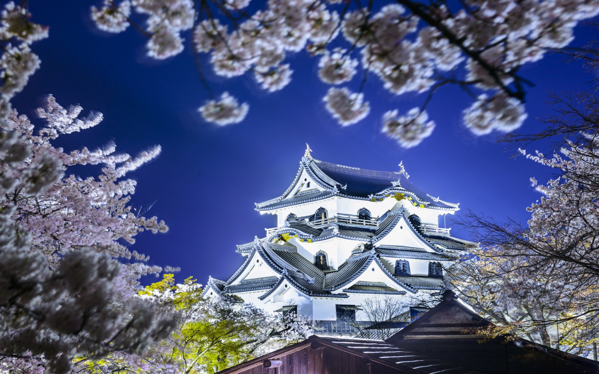 Hikone Castle Wallpapers