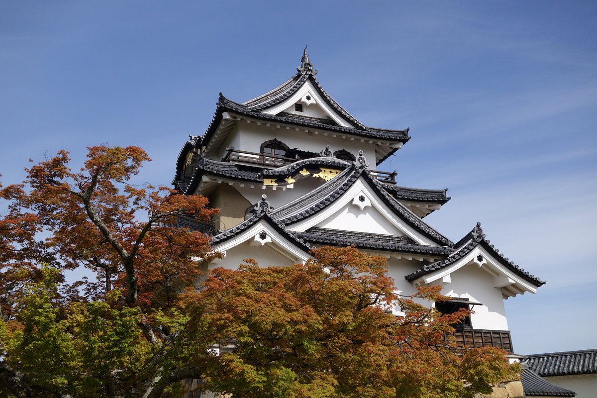 Hikone Castle Wallpapers