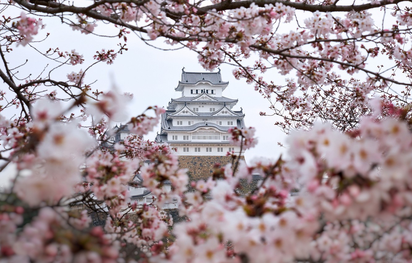 Himeji Castle Wallpapers