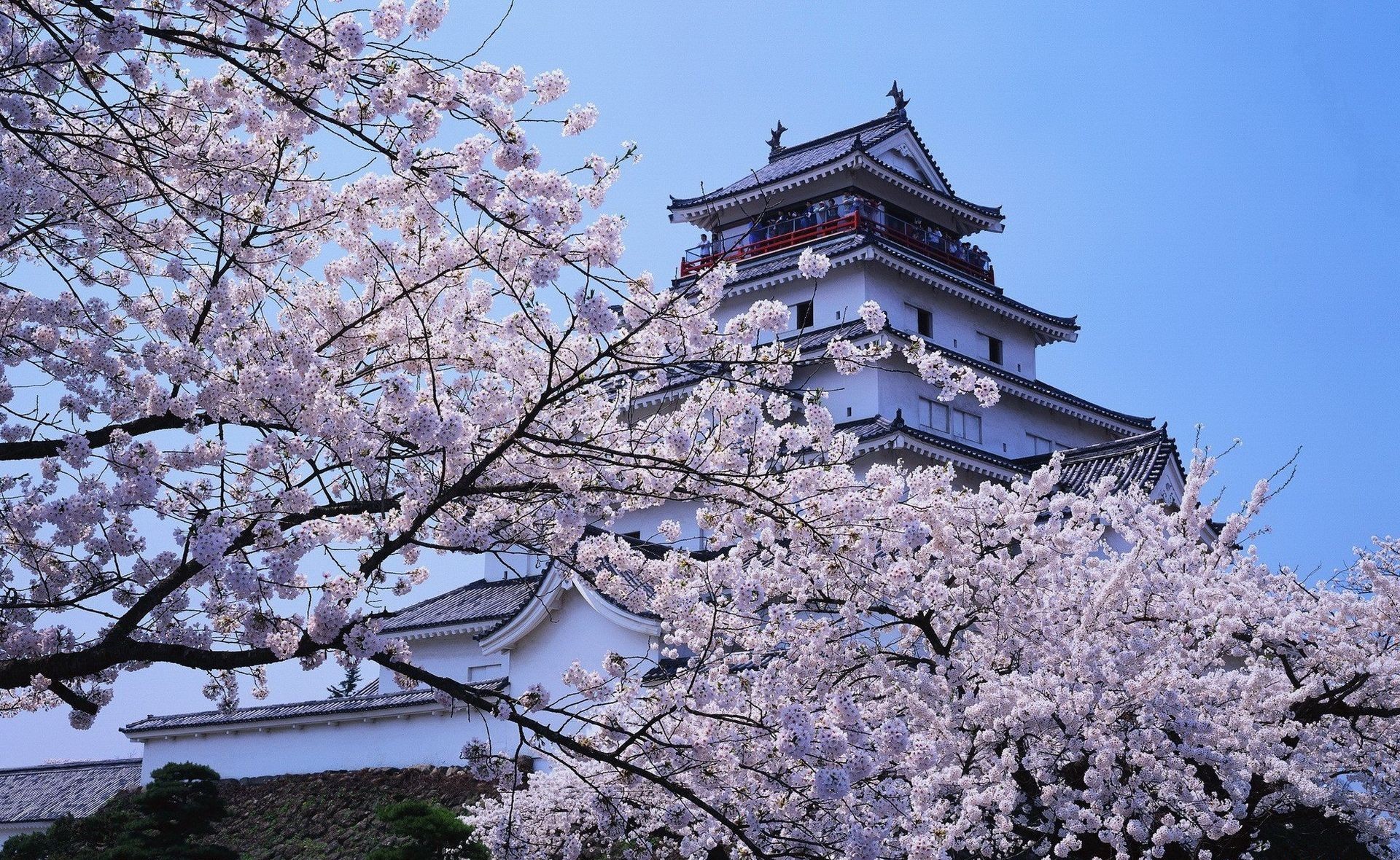 Himeji Castle Wallpapers