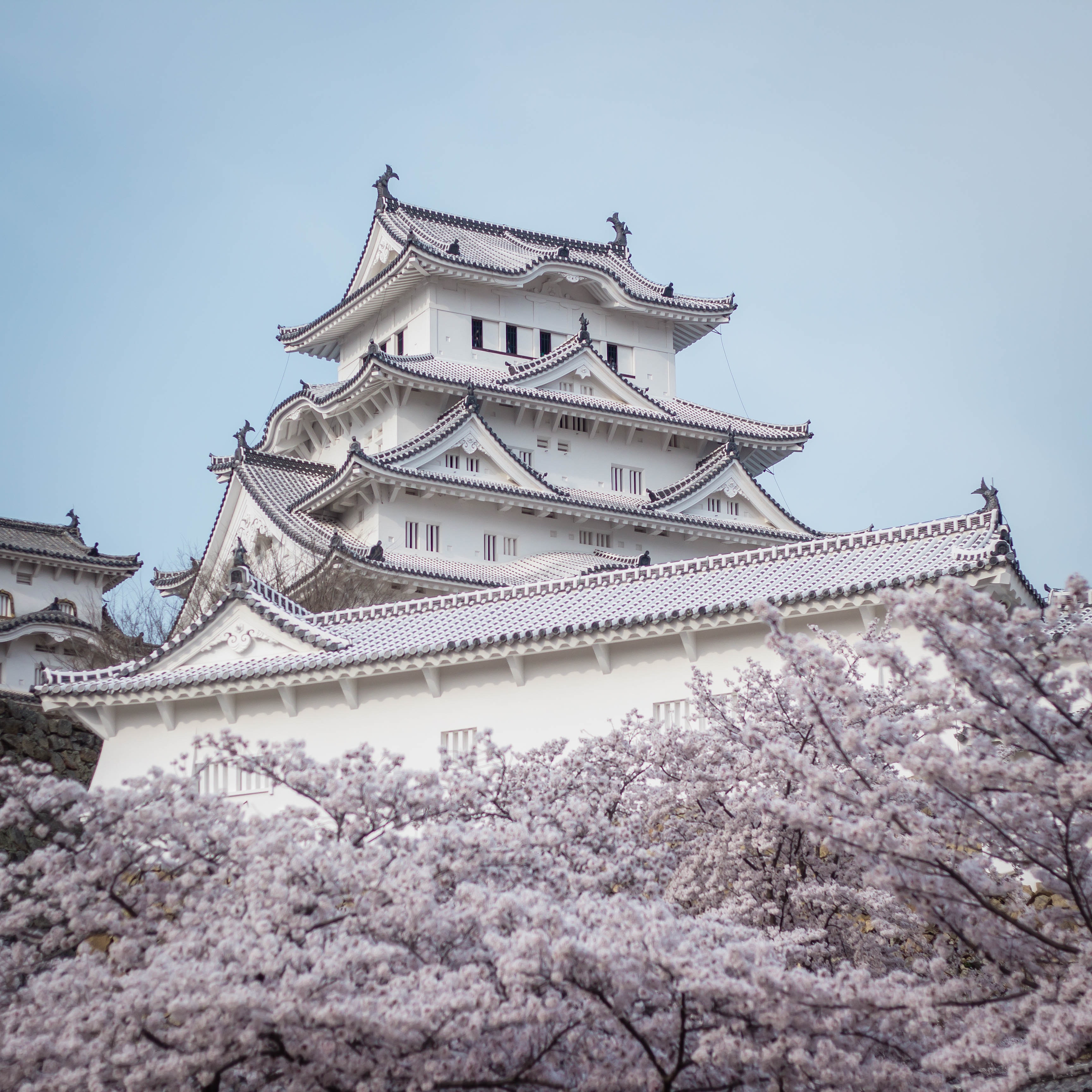 Himeji Castle Wallpapers