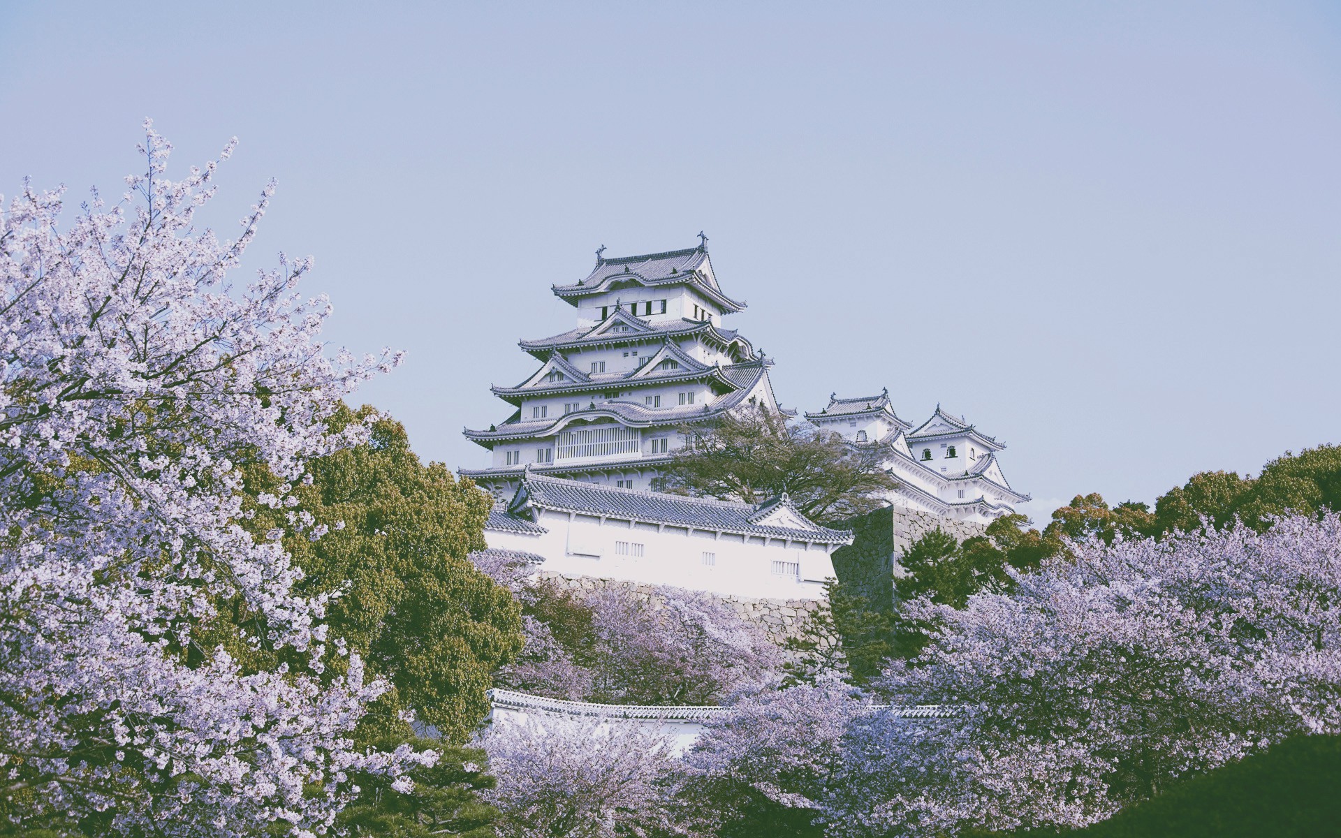 Himeji Castle Wallpapers