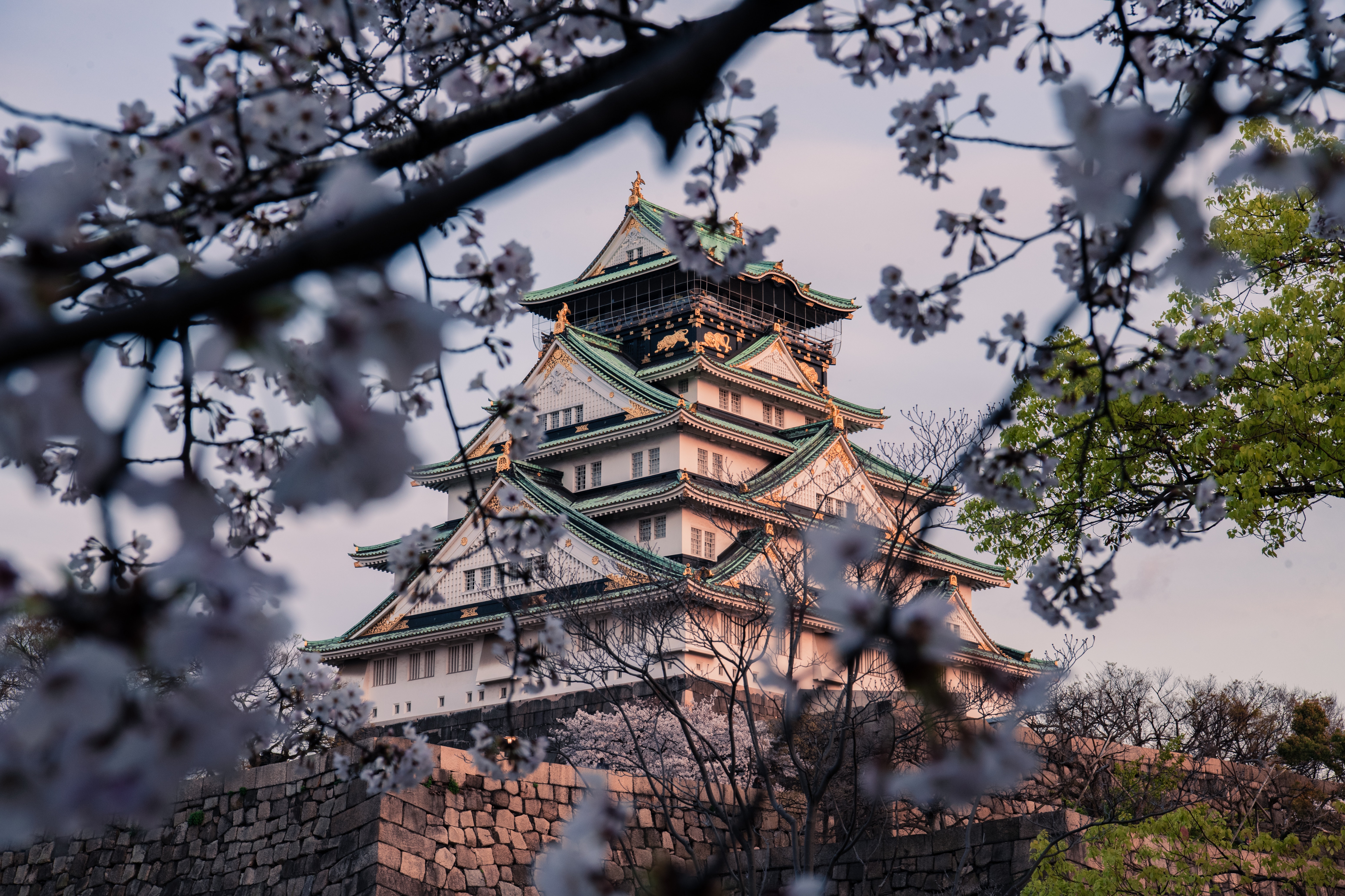 Himeji Castle Wallpapers