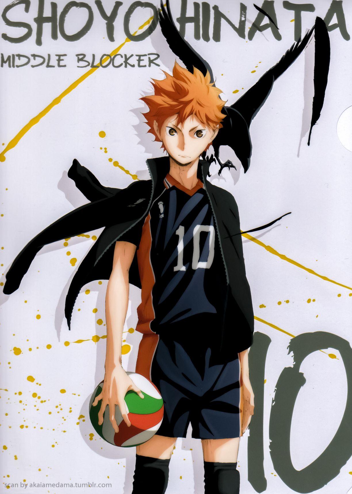 Hinata Haikyuu Wallpapers