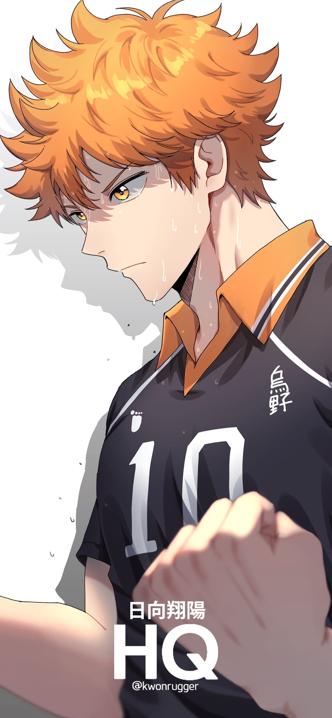 Hinata Haikyuu Wallpapers