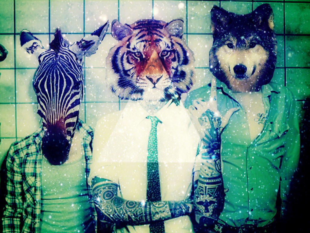 Hipster Animal Wallpapers