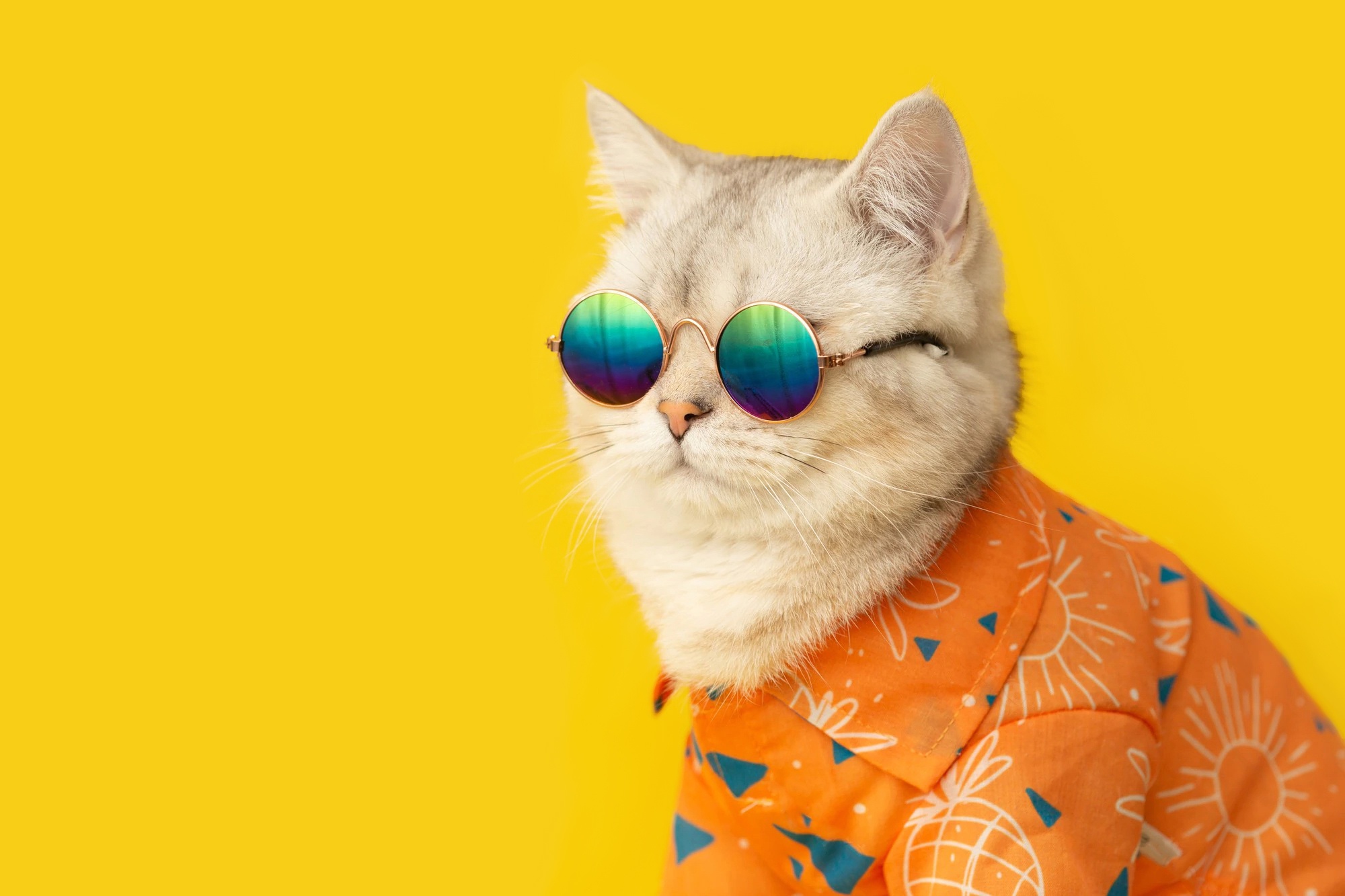Hipster Animal Wallpapers