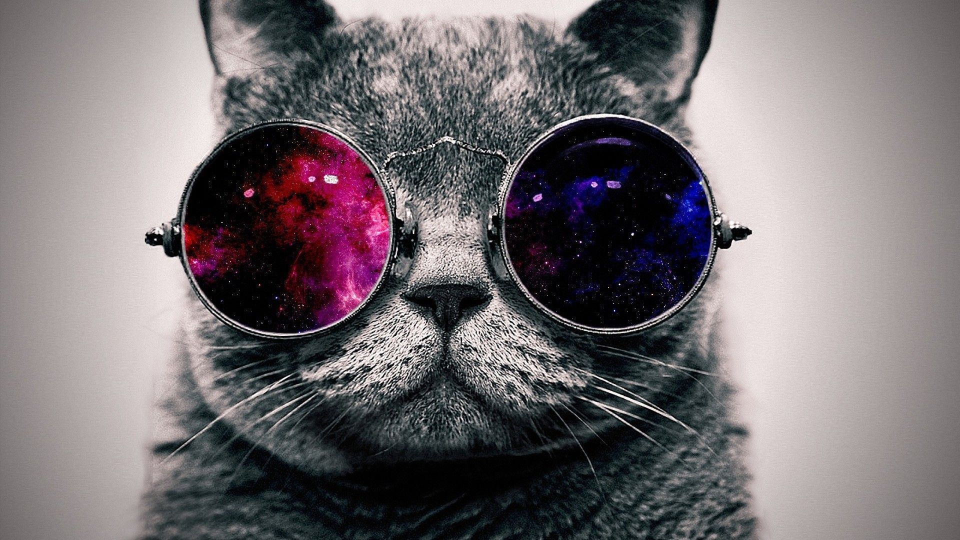 Hipster Cat Background