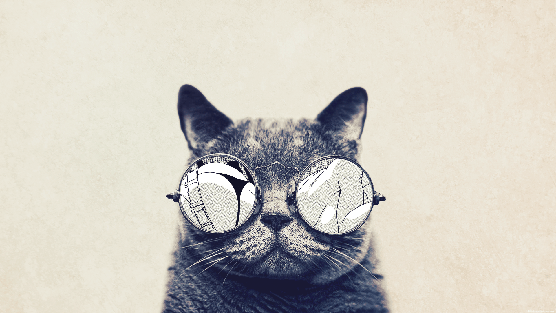 Hipster Cat Wallpapers