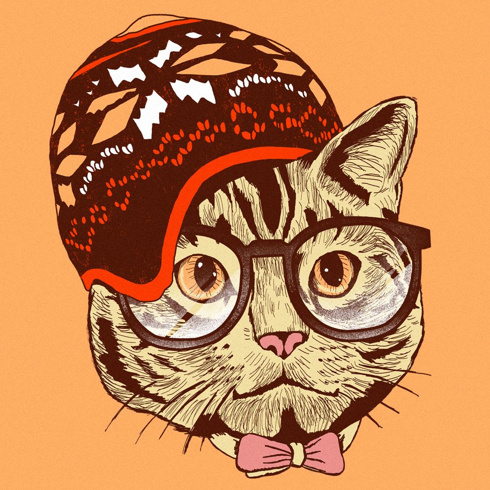 Hipster Cat Wallpapers