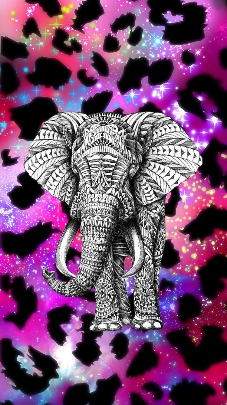 Hipster Elephant Wallpapers