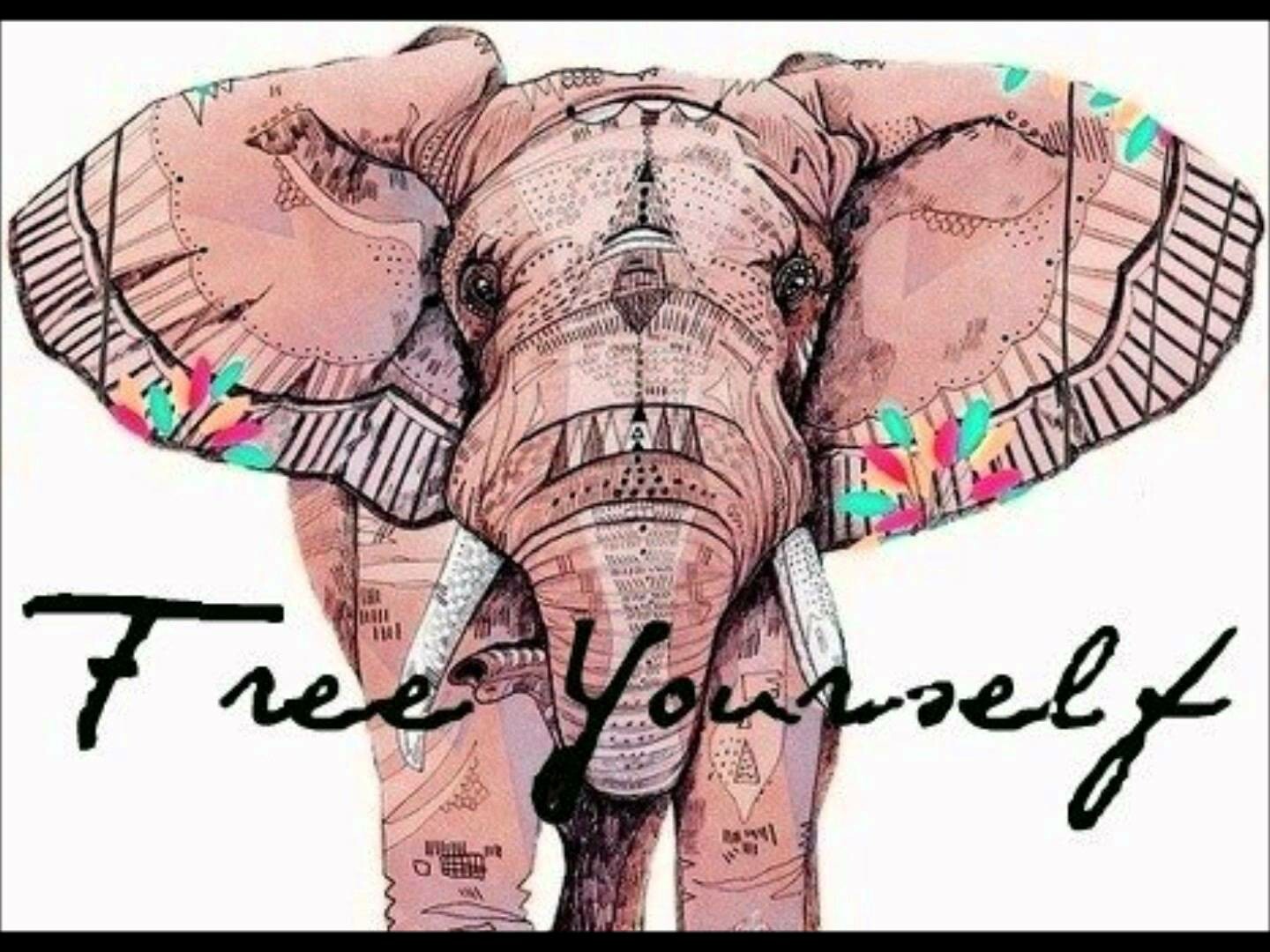 Hipster Elephant Wallpapers