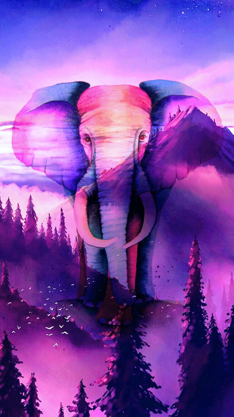 Hipster Elephant Wallpapers