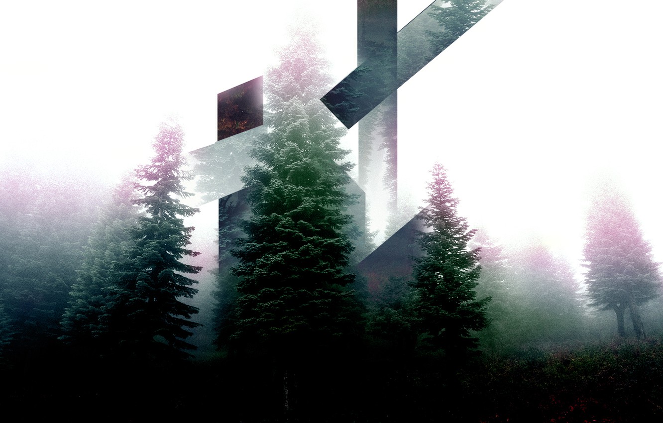 Hipster Forest Wallpapers