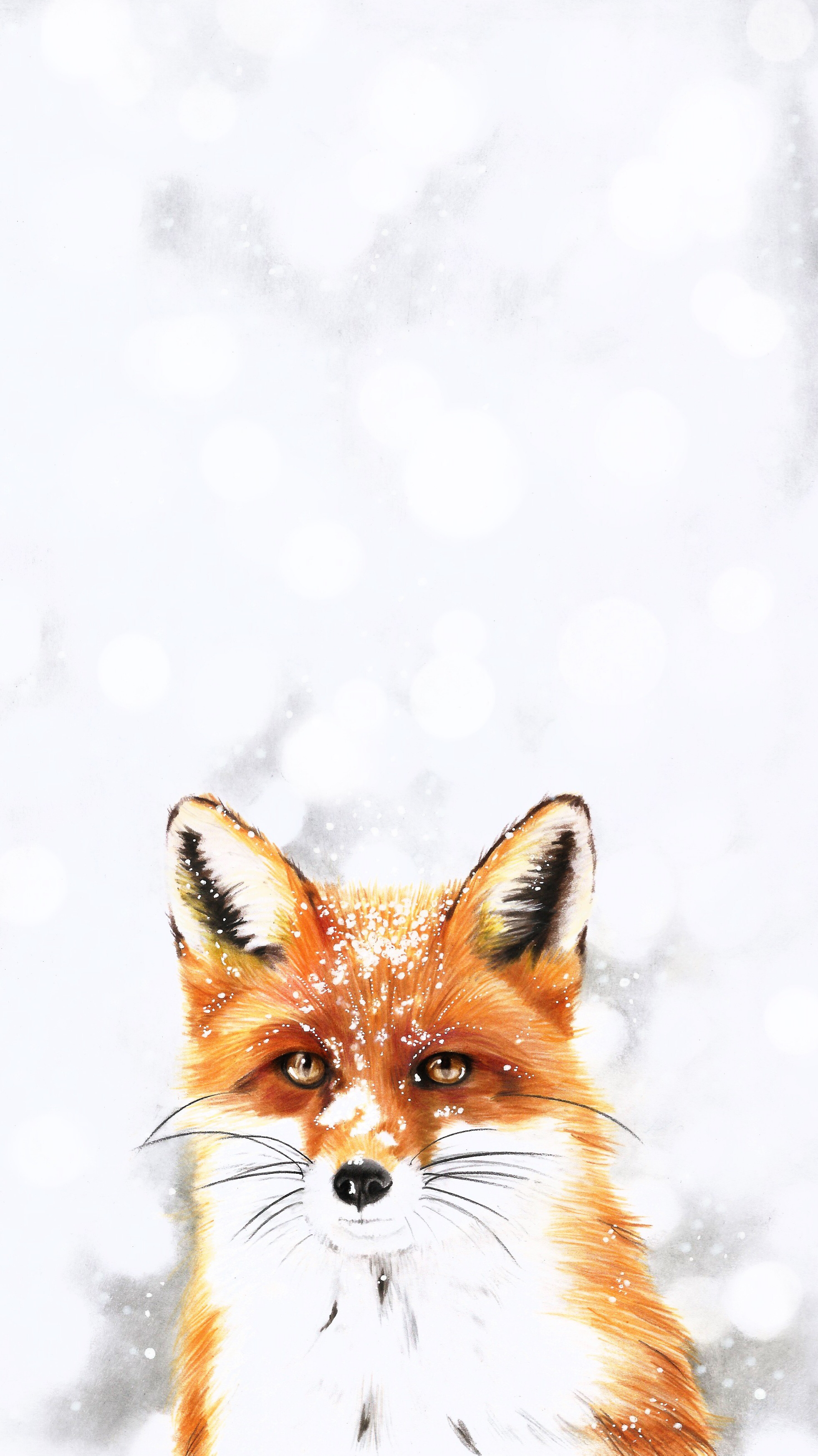 Hipster Fox Wallpapers