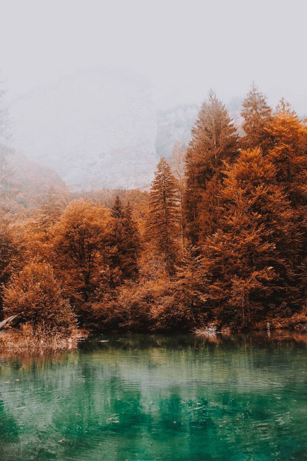 Hipster Landscape Wallpapers