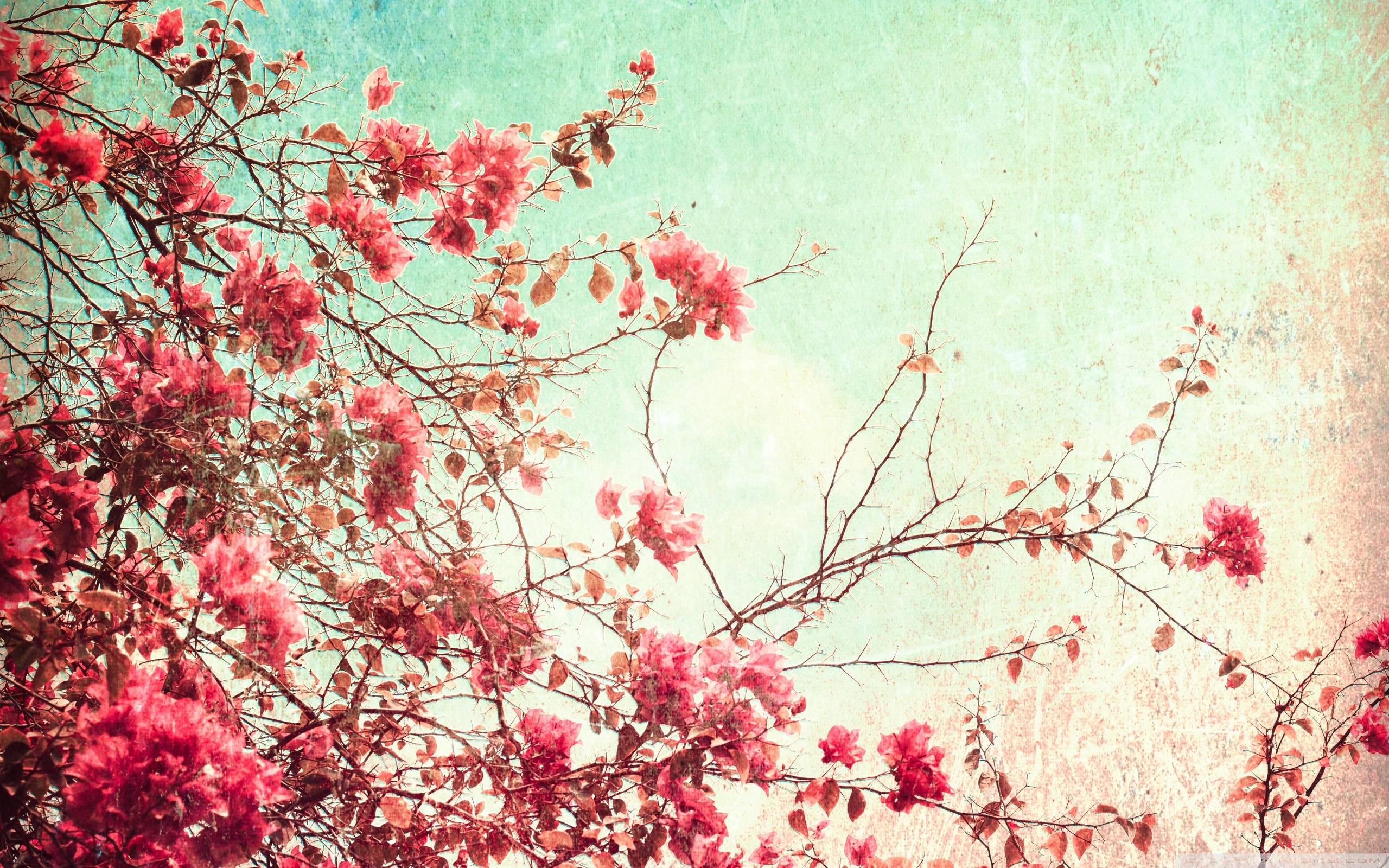 Hipster Spring Wallpapers