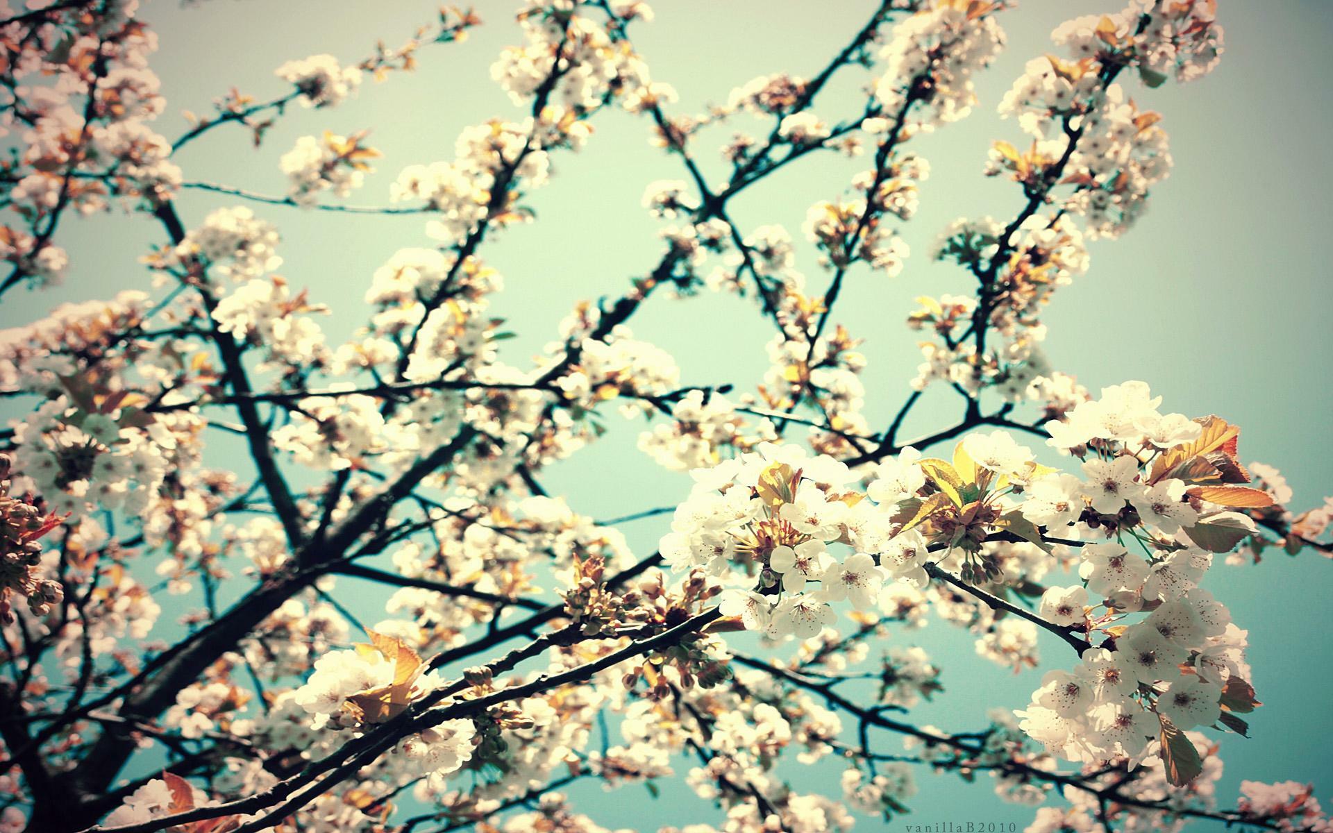 Hipster Spring Wallpapers