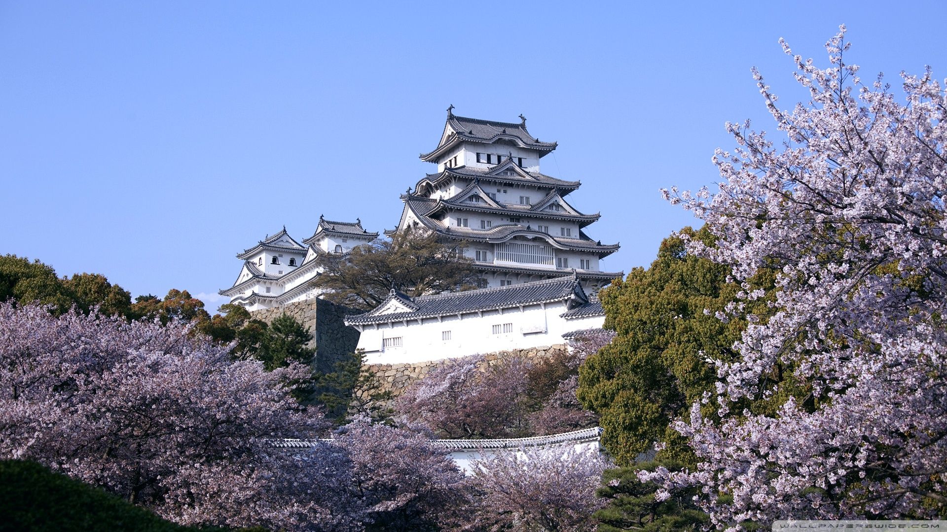 Hirosaki Castle Wallpapers