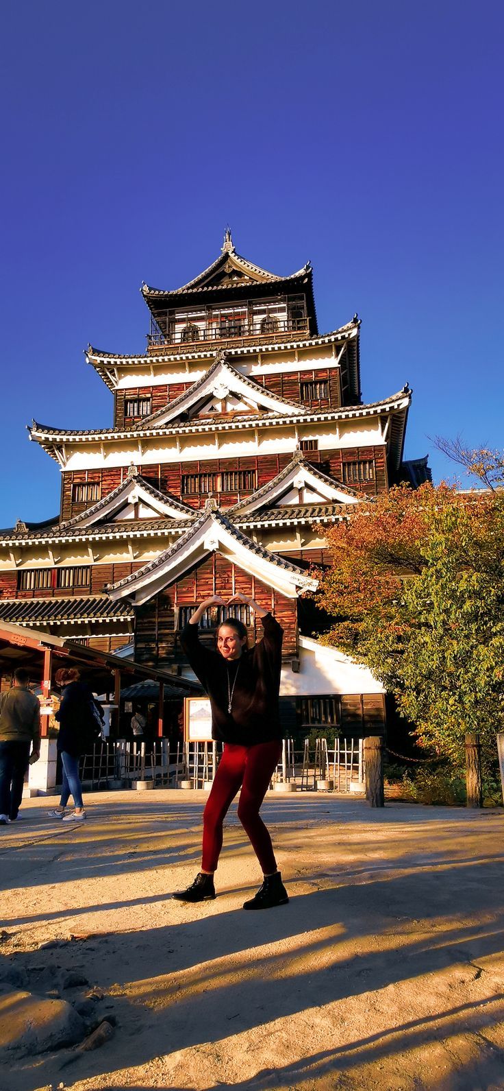 Hiroshima Castle Wallpapers