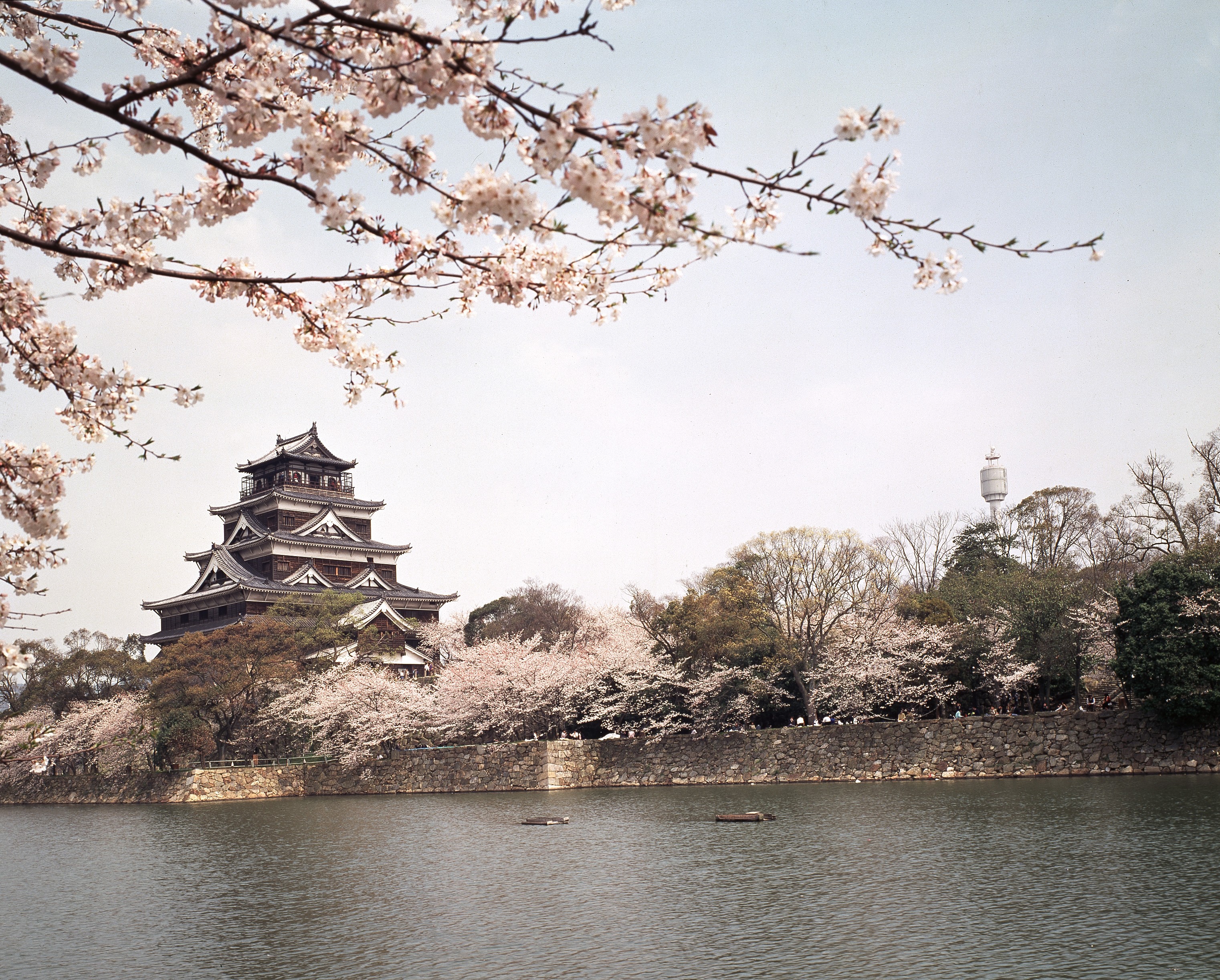 Hiroshima Castle Wallpapers