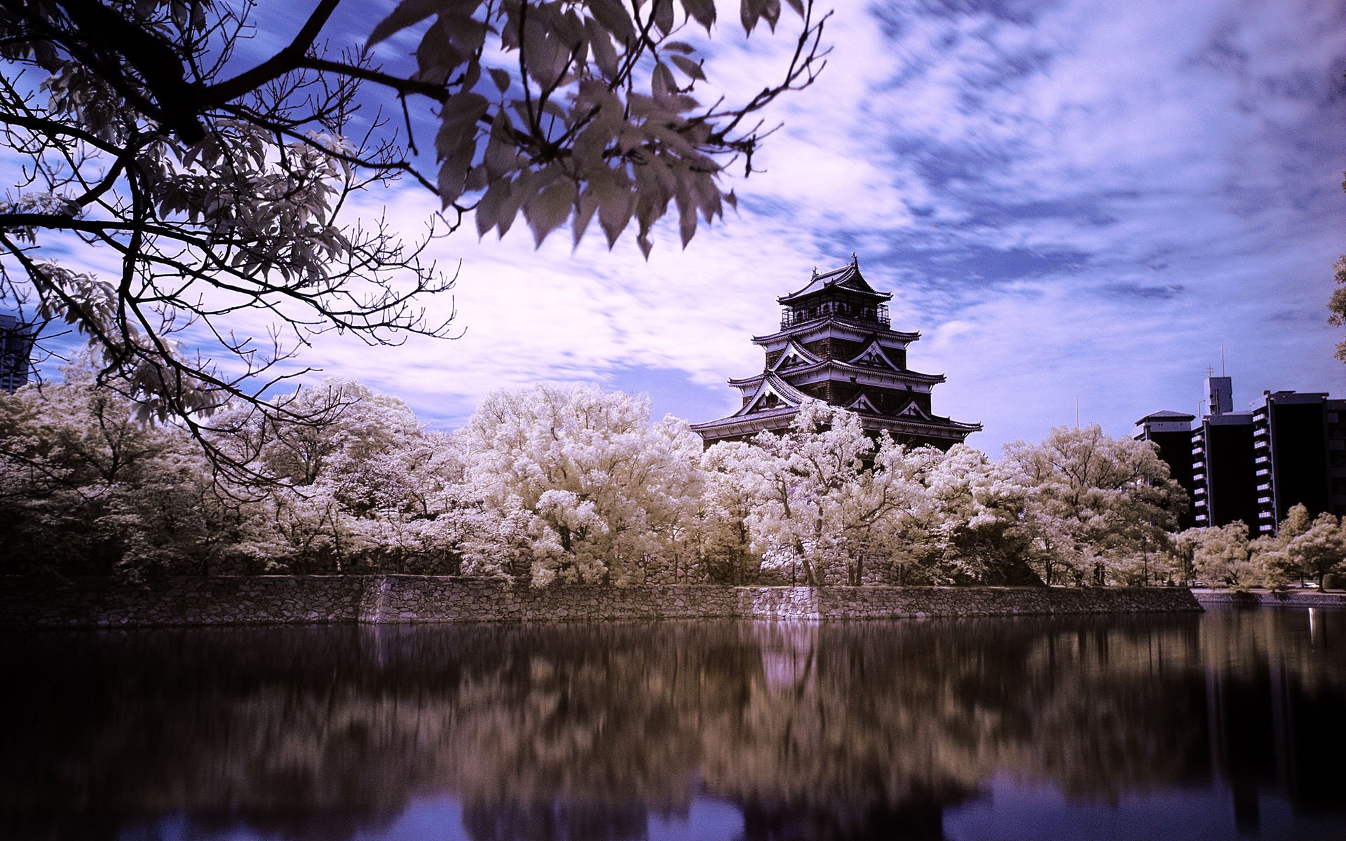 Hiroshima Castle Wallpapers