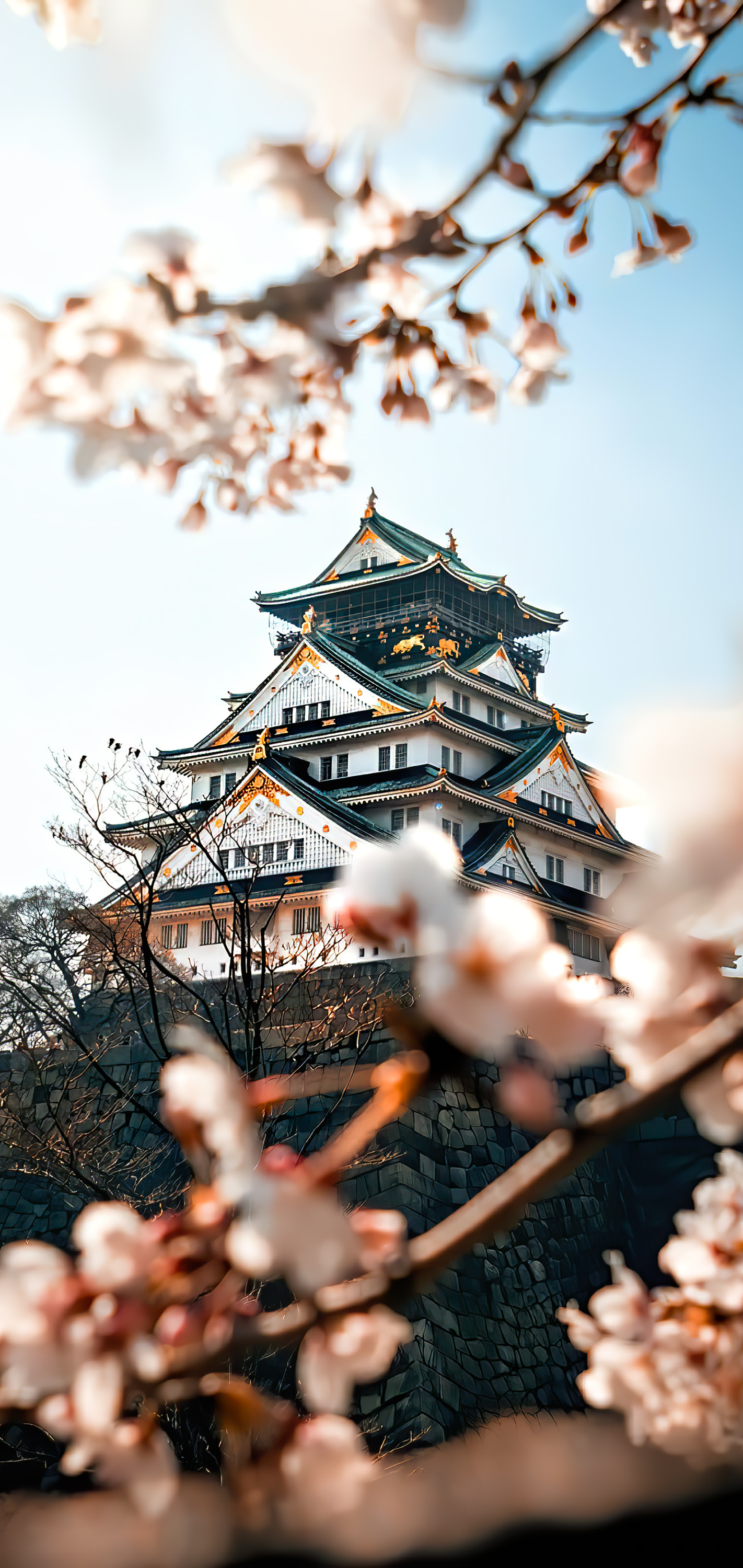 Hiroshima Castle Wallpapers