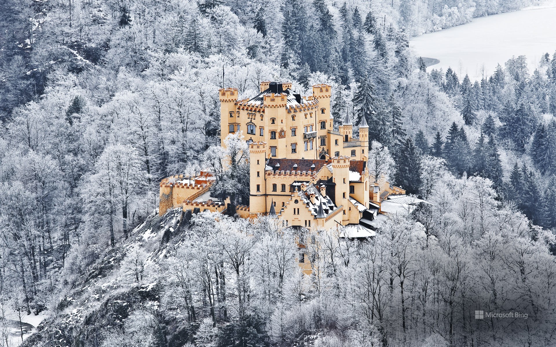 Hohenschwangau Castle Wallpapers