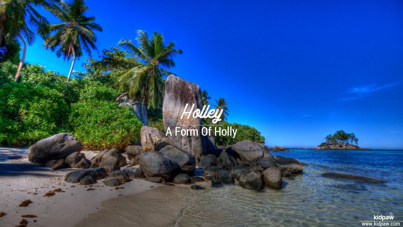 Holley Wallpapers