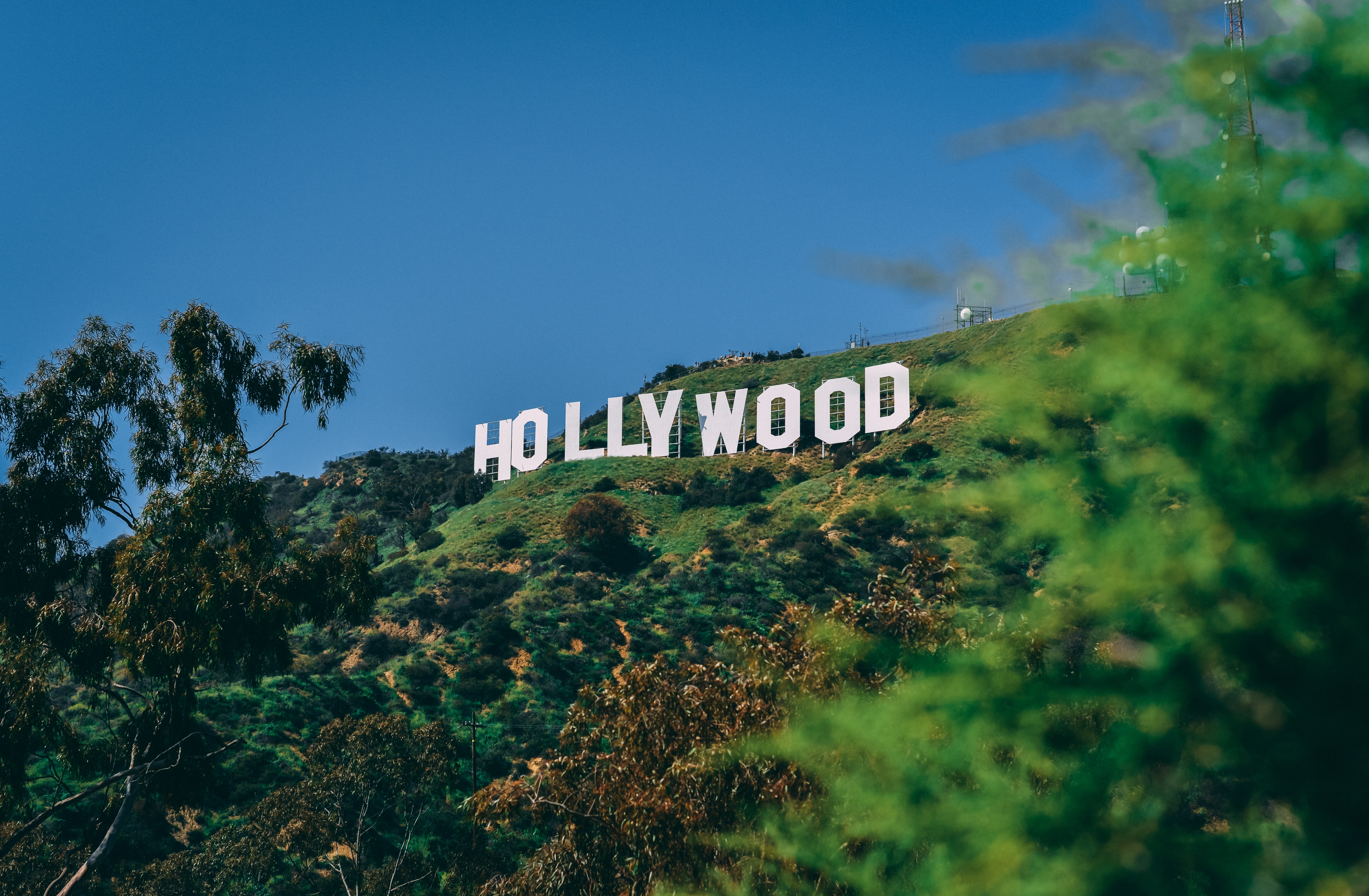 Hollywood Sign Wallpapers