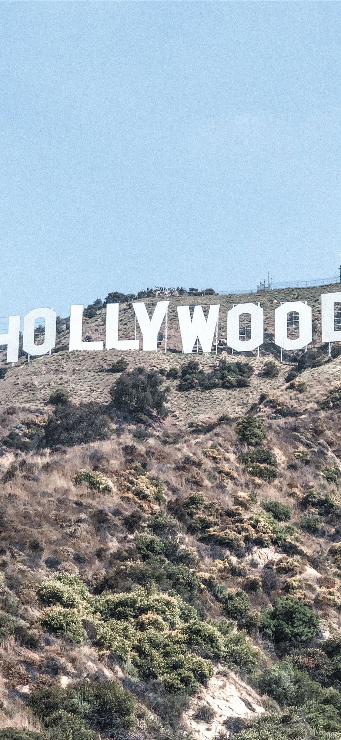 Hollywood Sign Wallpapers